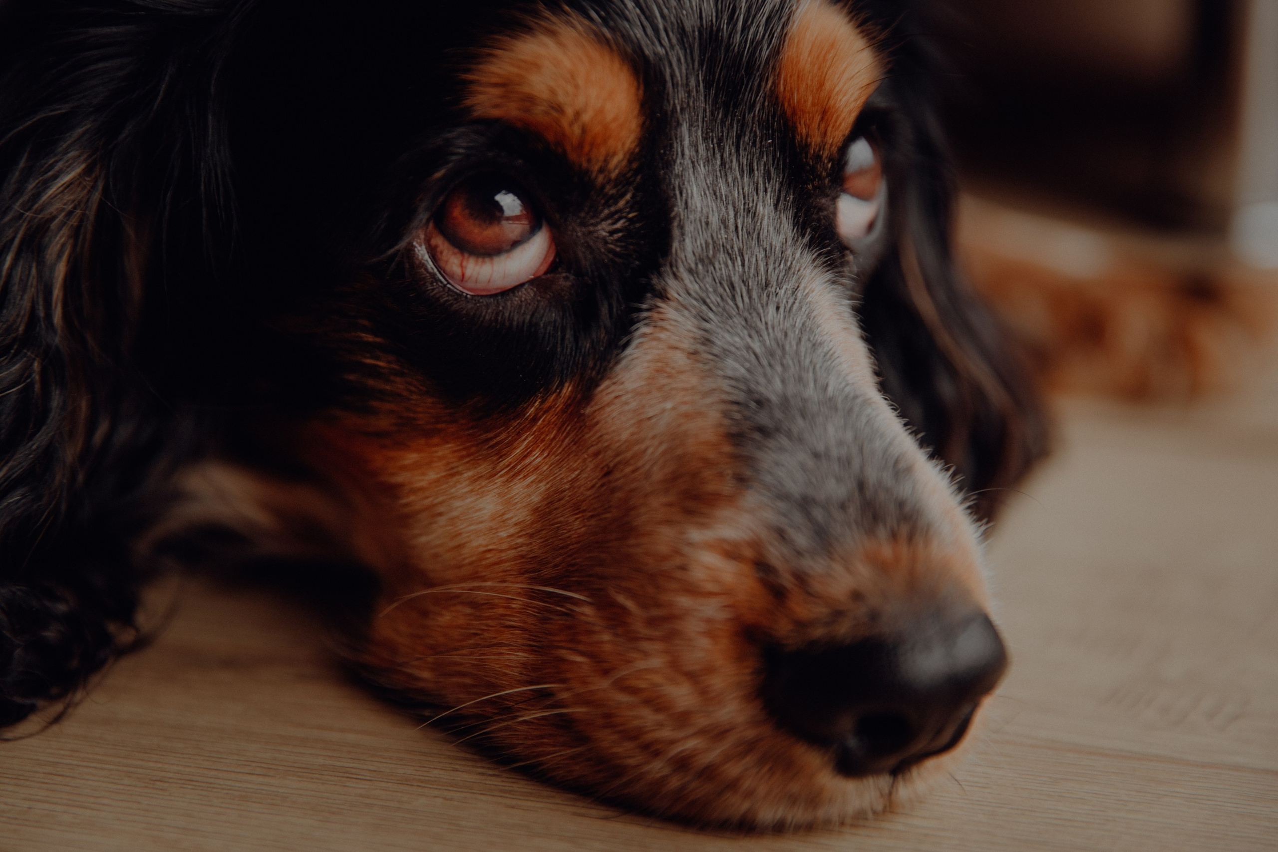 Ася ღ Заур. Портфолио