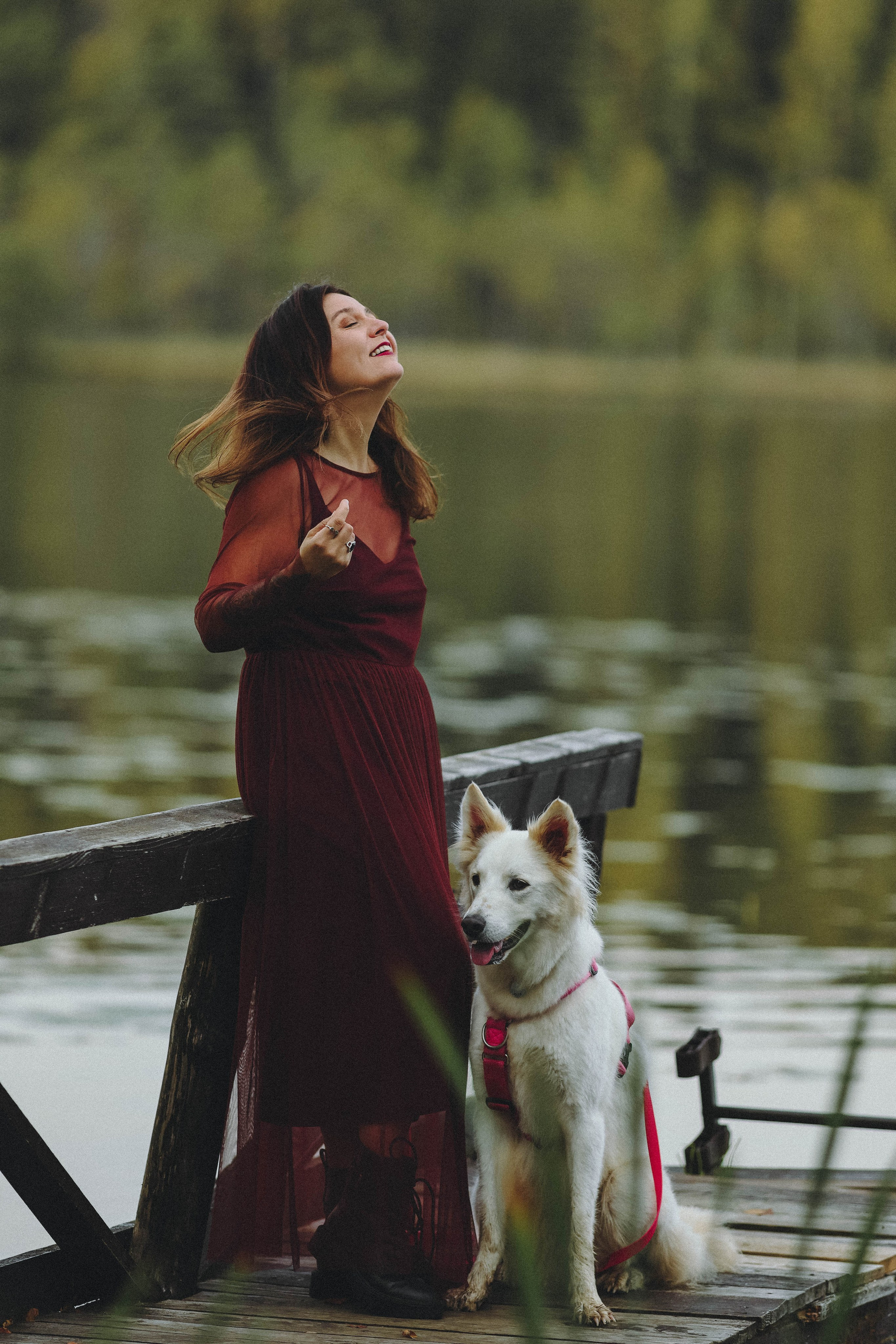 Собаки и их люди. Фотограф- анималист Санкт-Петербург