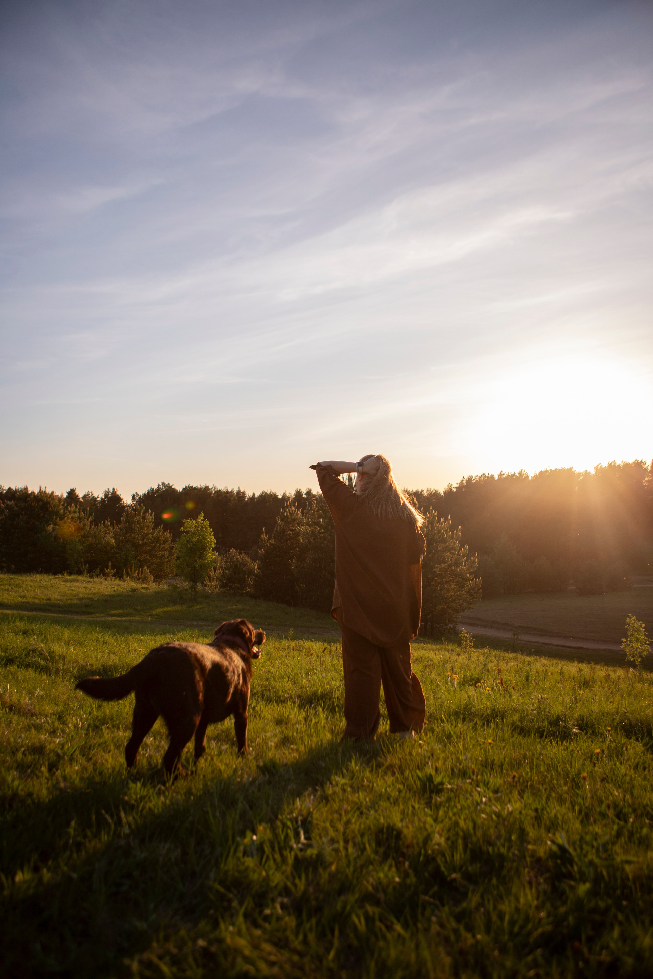 Закатная. Фотограф-анималист в Санкт-Петербурге Алина Яхонт