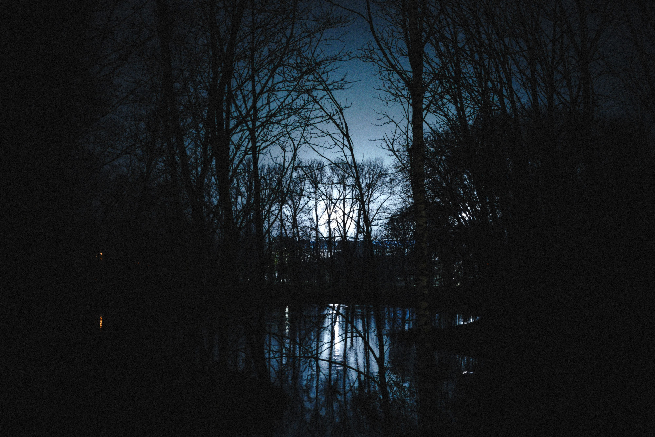 Фотодневник: в цвете. Фотограф Д. Куценков