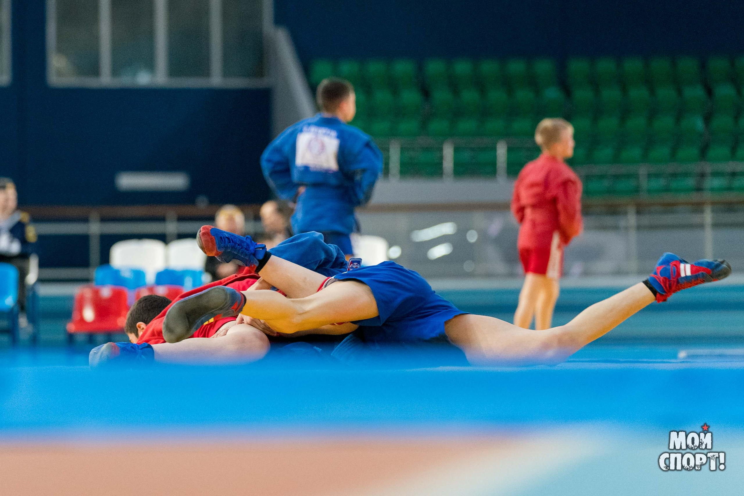 Всероссийские соревнования по самбо «Победа». Студия «Мой Спорт!» — все о спорте в Якутии