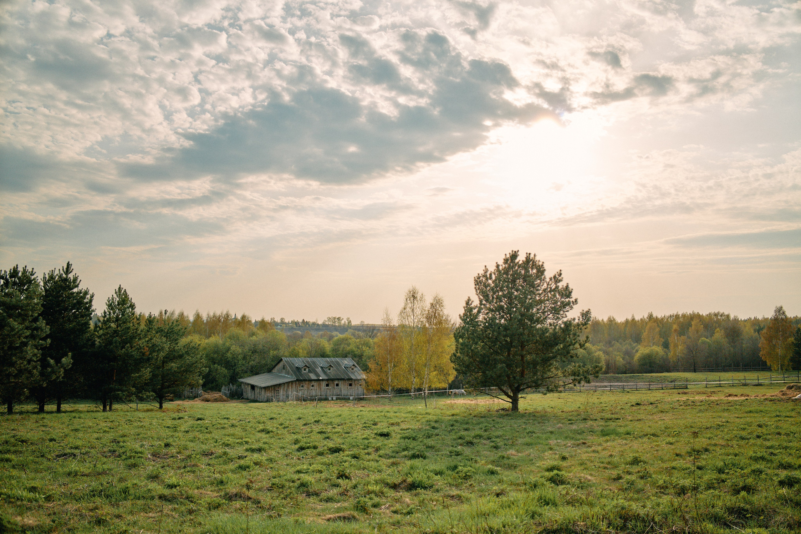 Бутик-отель Поле летом. Профессиональный Фотограф во Владимире, в Москве и в Суздале — Полина Романычева