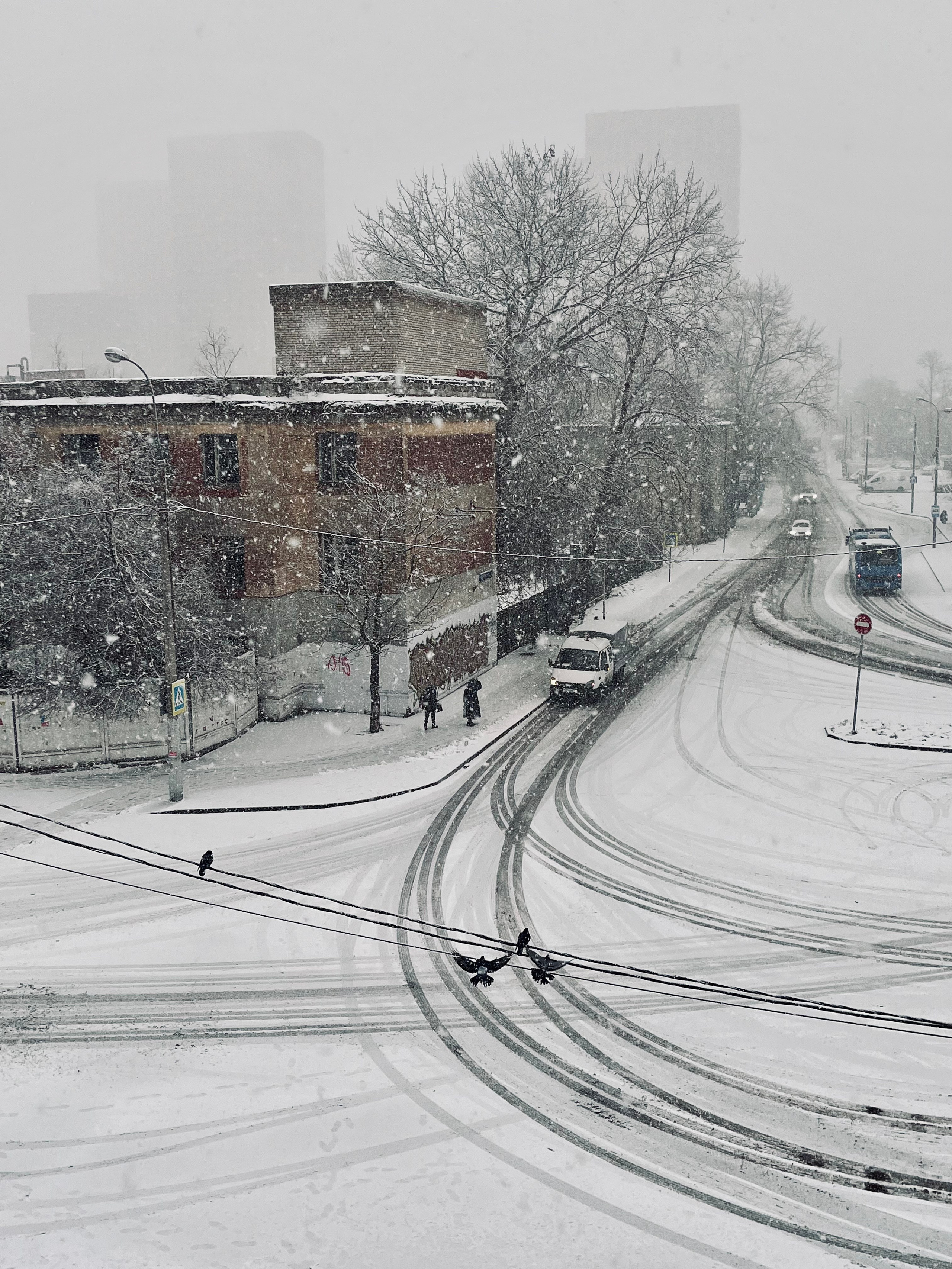 Юго-восток, 2022. Портретный фотограф в Москве Евгения Яковенко