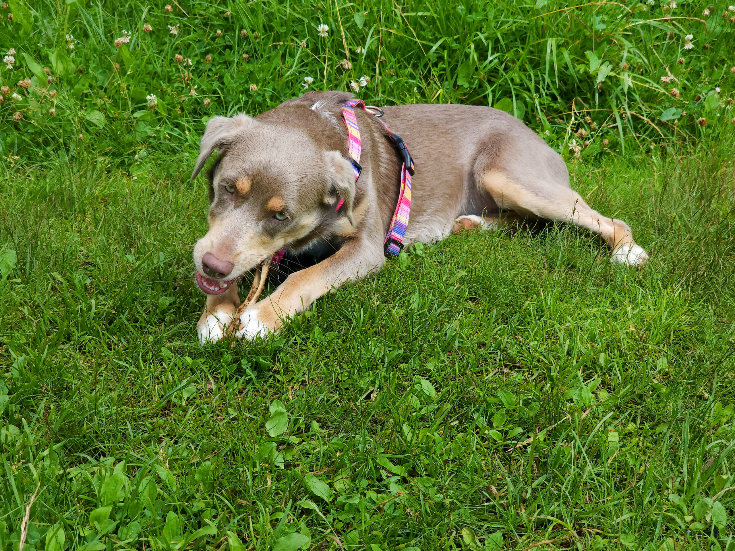 Репортажное фото фотопрогулка