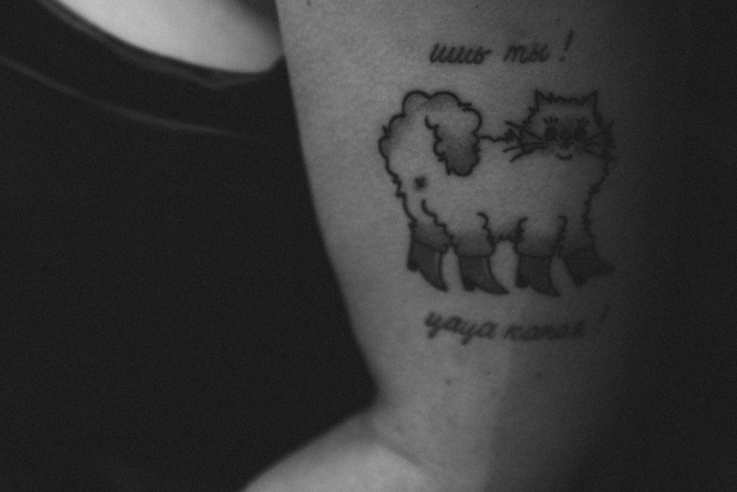 Саша & Оля. Свадебный, семейный, женский фотограф в Москве, Мытищах, Королёве Ксения Узилле