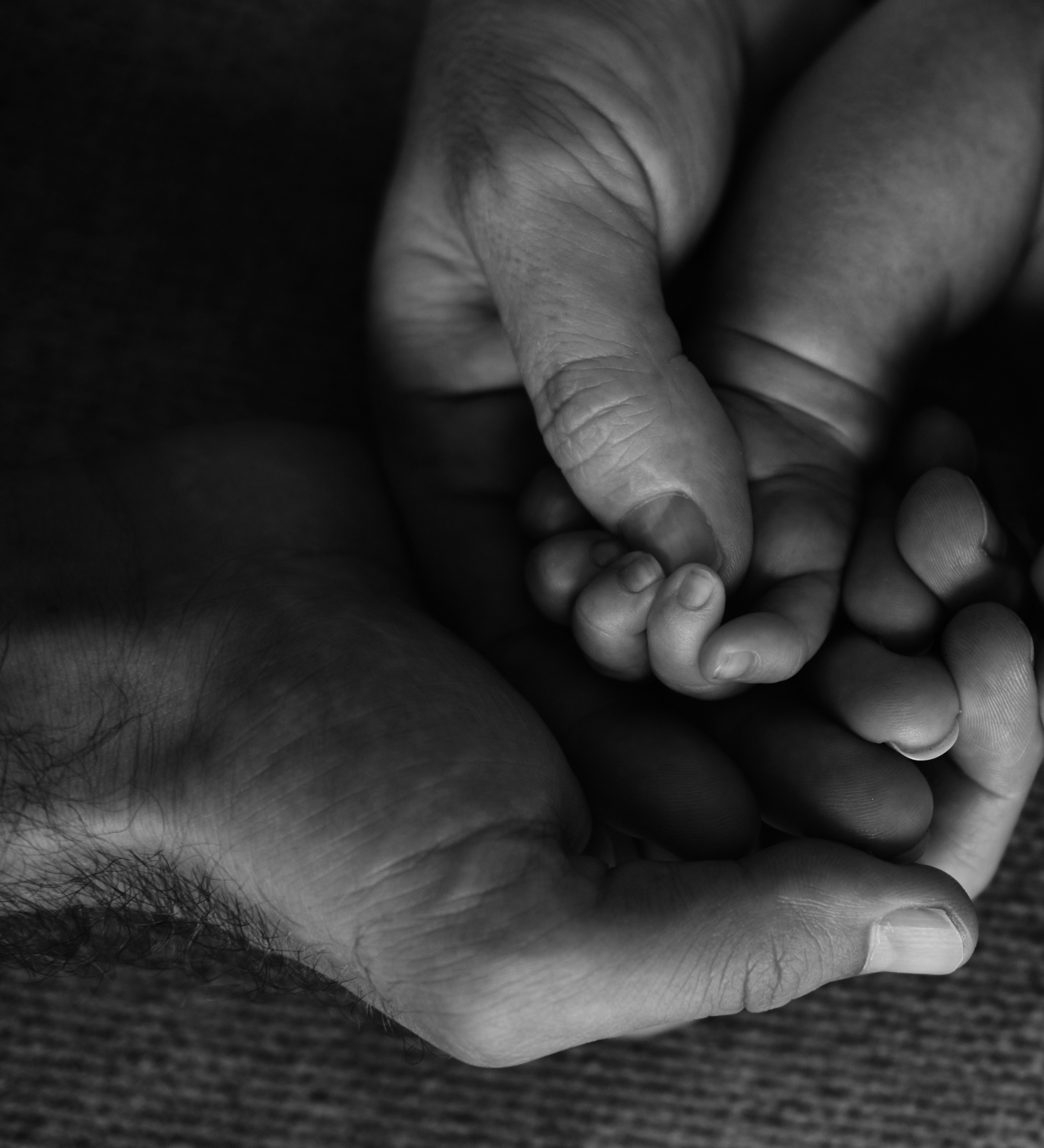 Дом, где растет любовь. Фотограф Карелина Полина