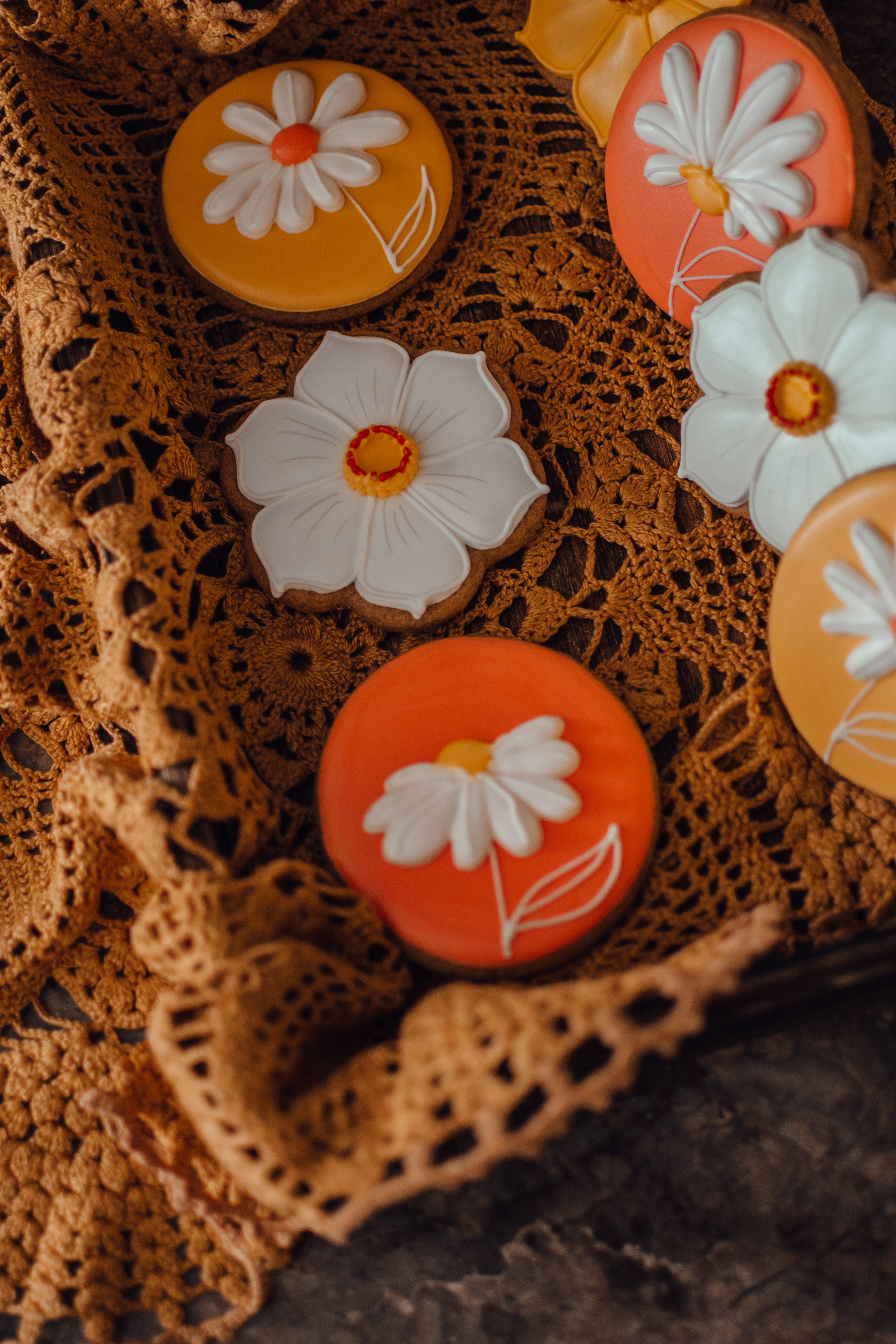 Елена. Домашняя съёмка. 1 час. Детский и семейный фотограф Катерина Мишина