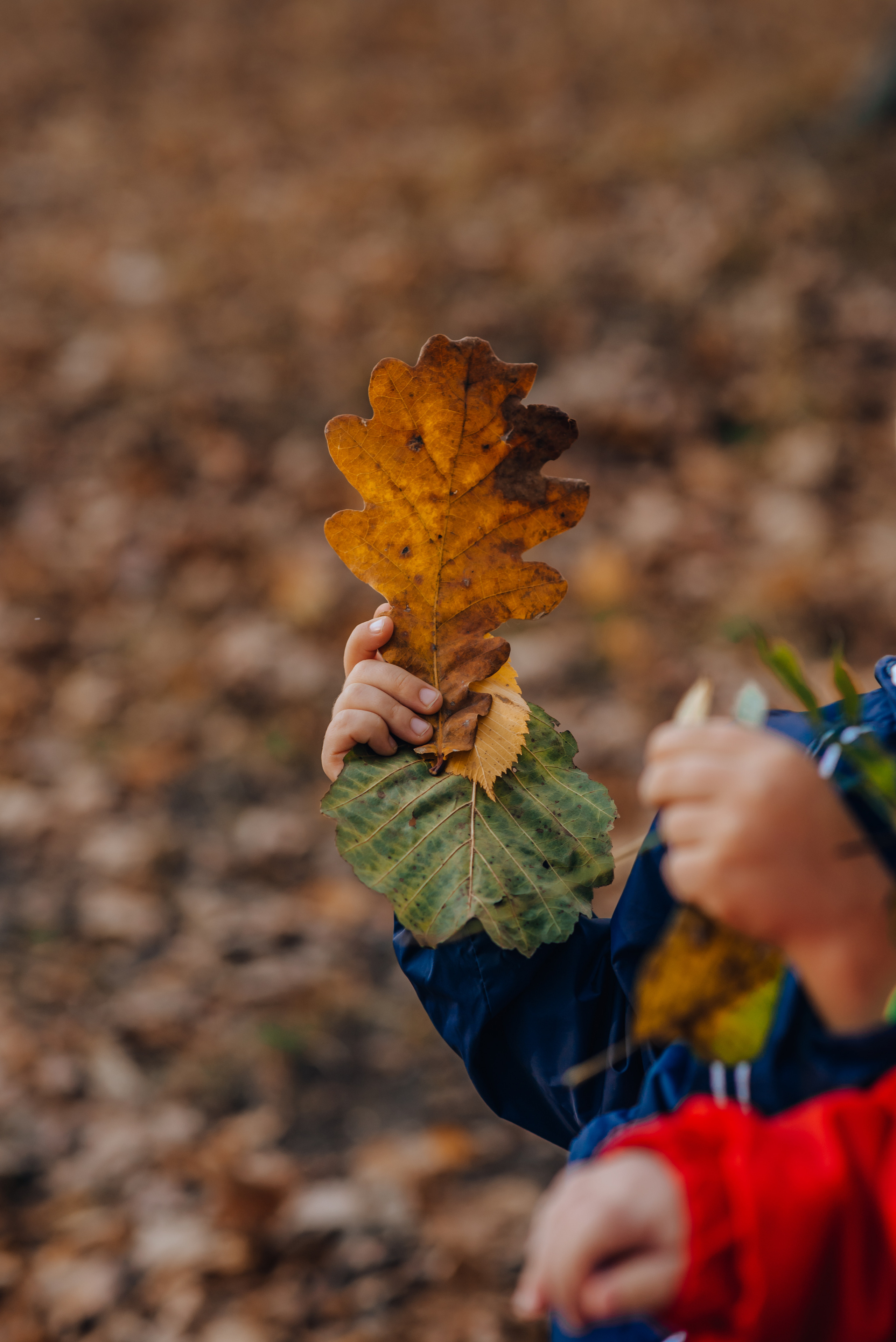 Наташа+Андрей=Никита и Рома. Детский и семейный фотограф Катерина Мишина
