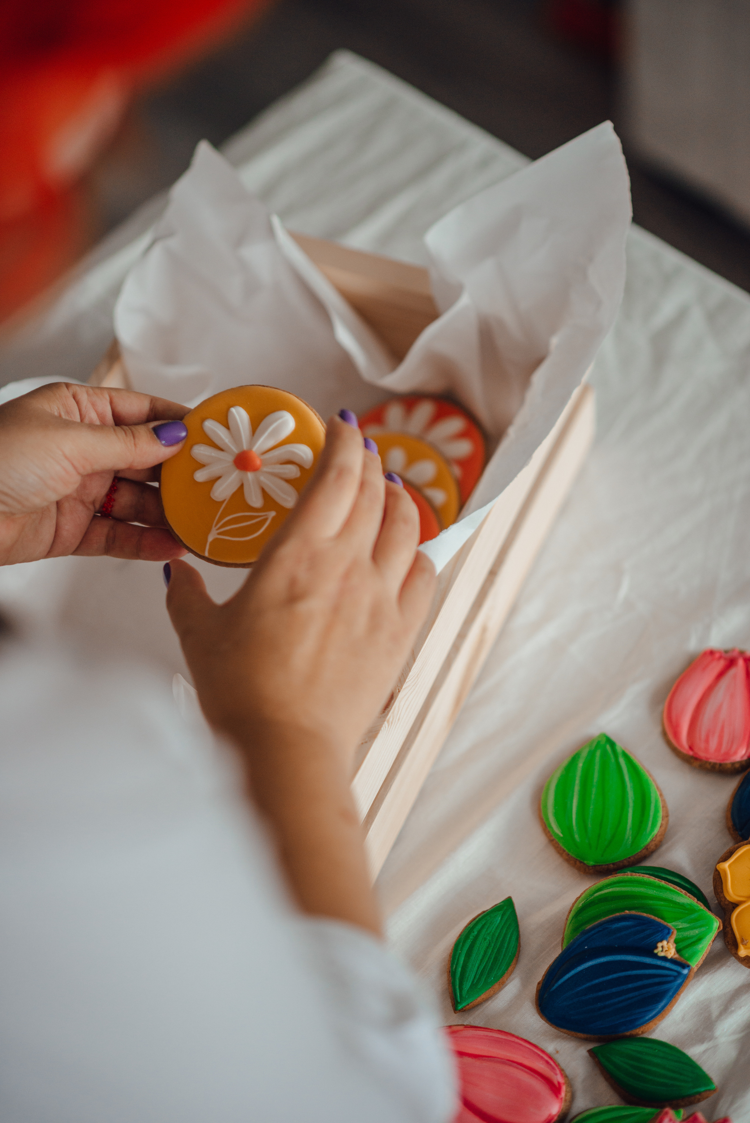 Елена. Домашняя съёмка. 1 час. Детский и семейный фотограф Катерина Мишина