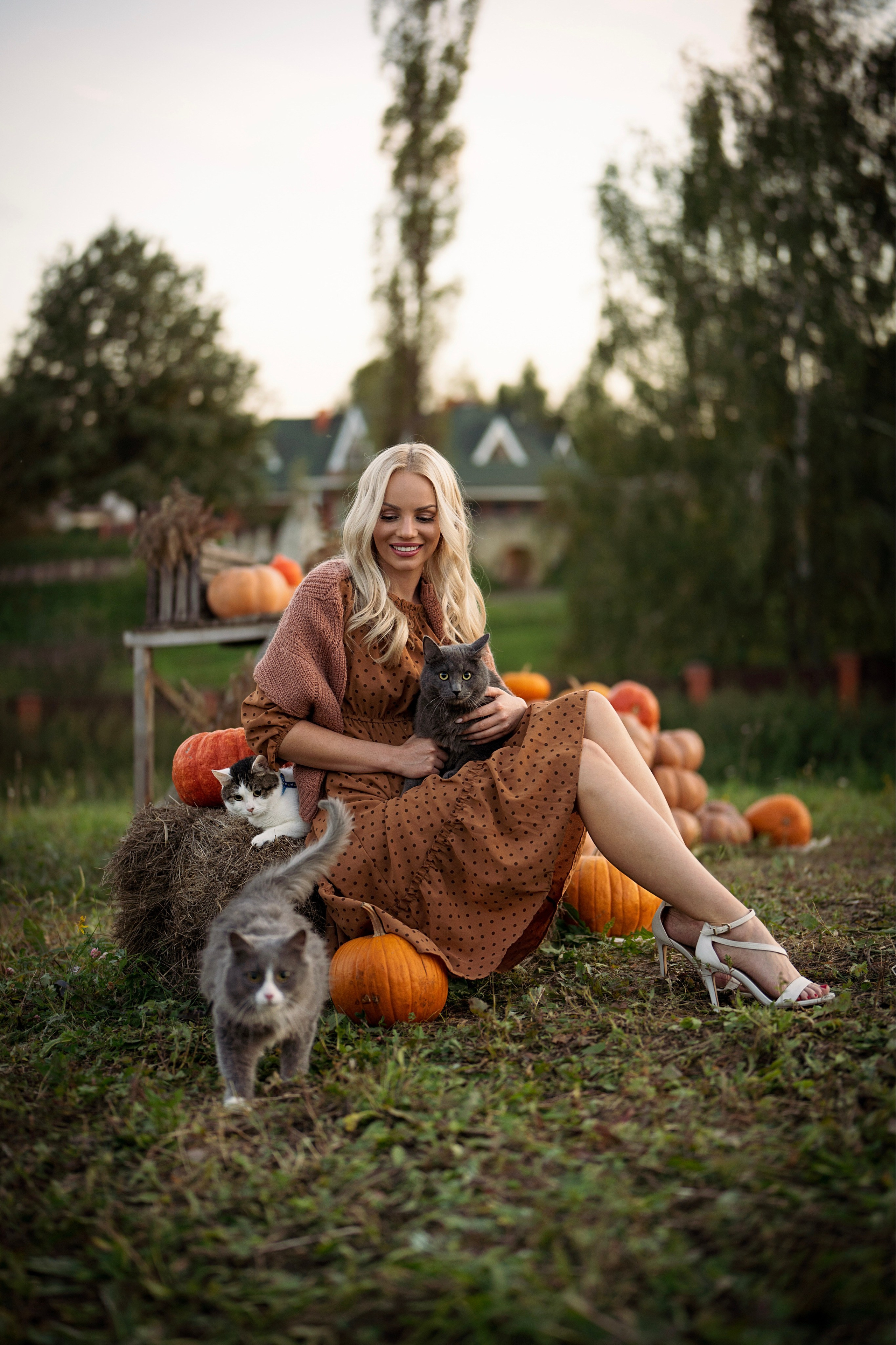 Теплые лапы осени. Ваш фотограф Tetiana Kolos, найду самый удачный ракурс и словлю момент