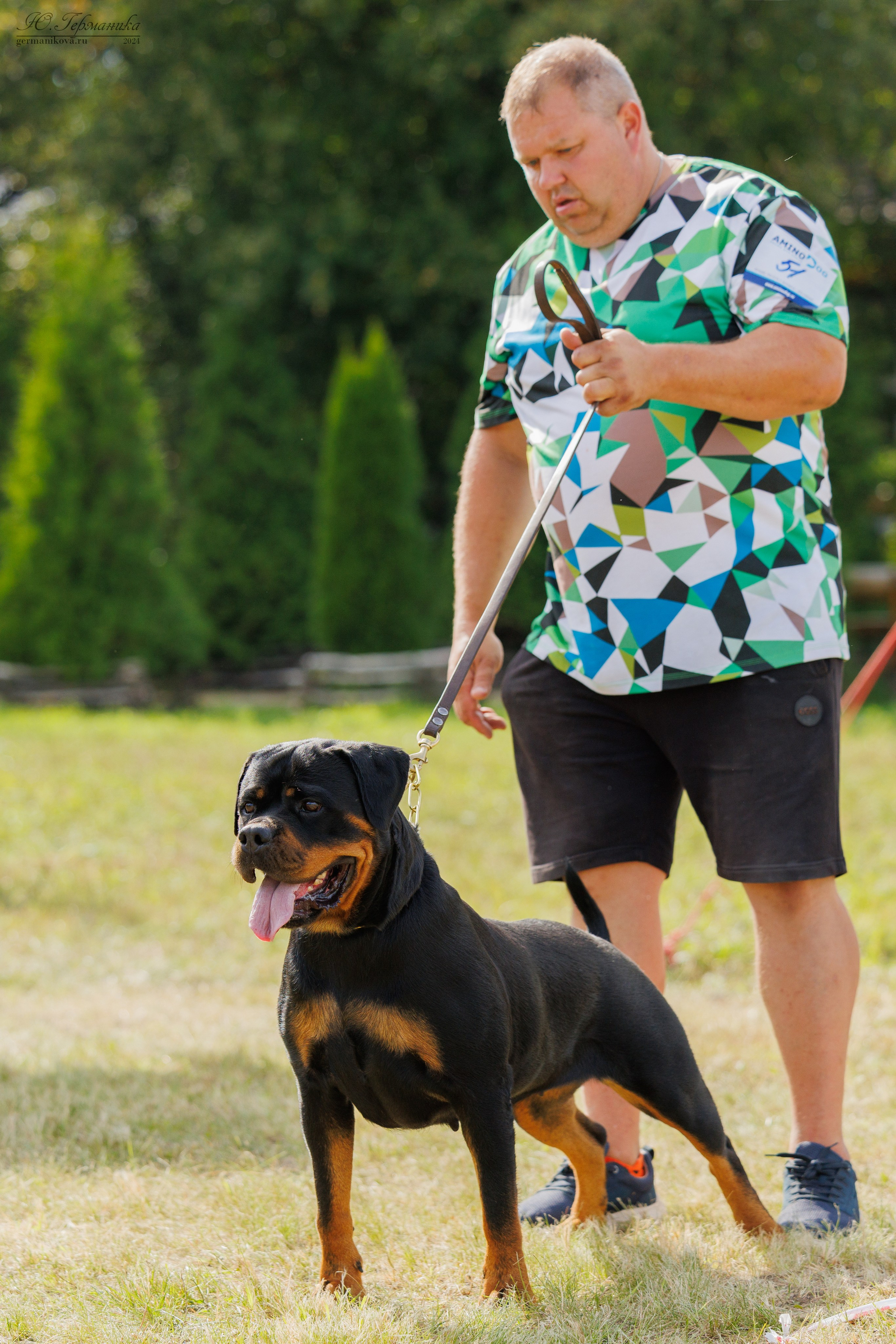 Рязань-Ховрино 10-11.08.2024 3хмоно ротвейлеров. Фотограф-анималист Юлия Германика