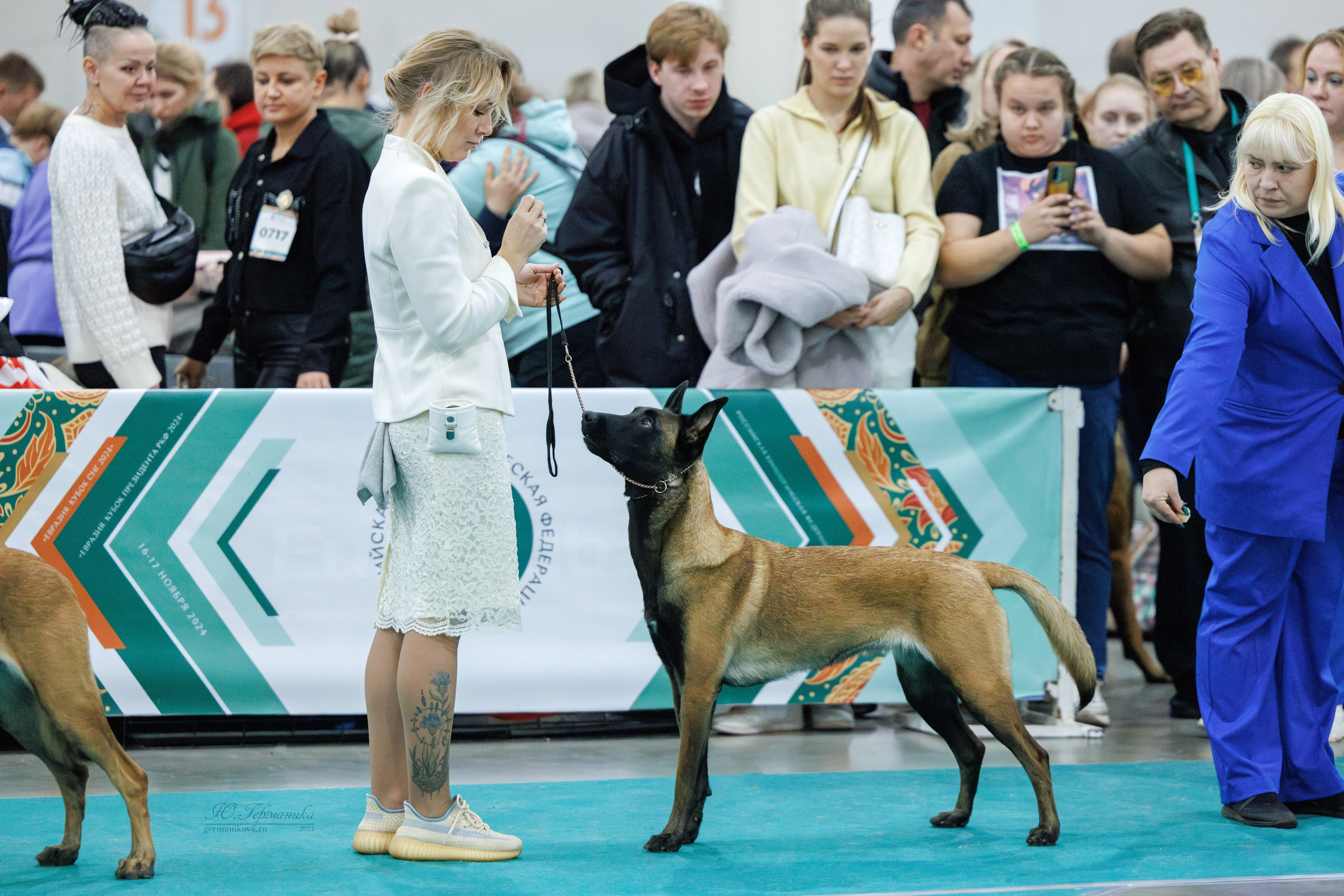 Евразия 16-17.11.2024. Фотограф-анималист Юлия Германика