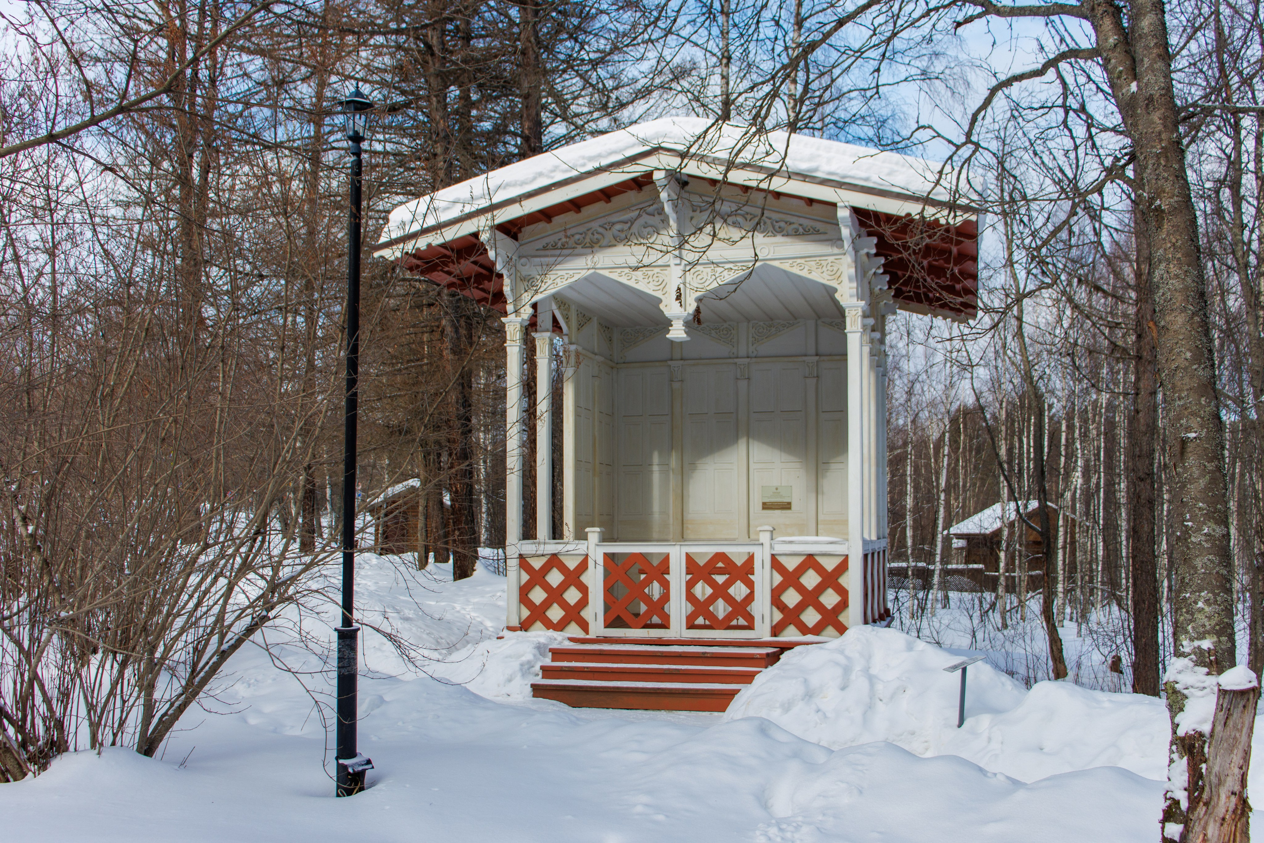 Курорт Марциальные воды. Аэросъемка. Фото и Видео в Карелии. Алексей Фрилунд