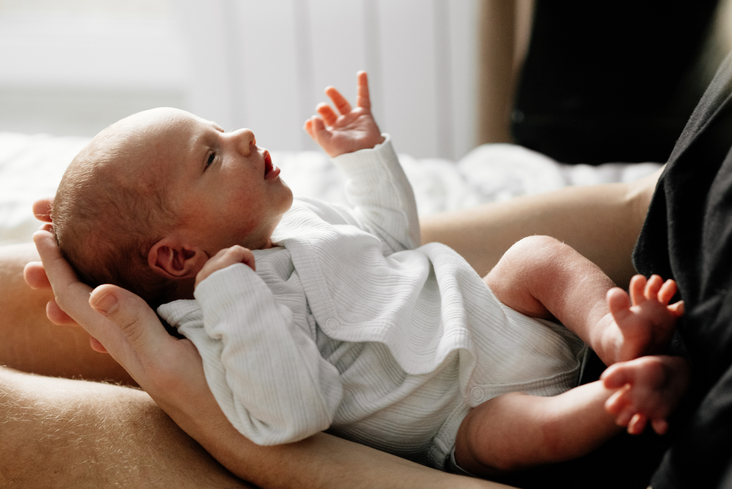 Лена Антон Алисочка и Федя. Семьи