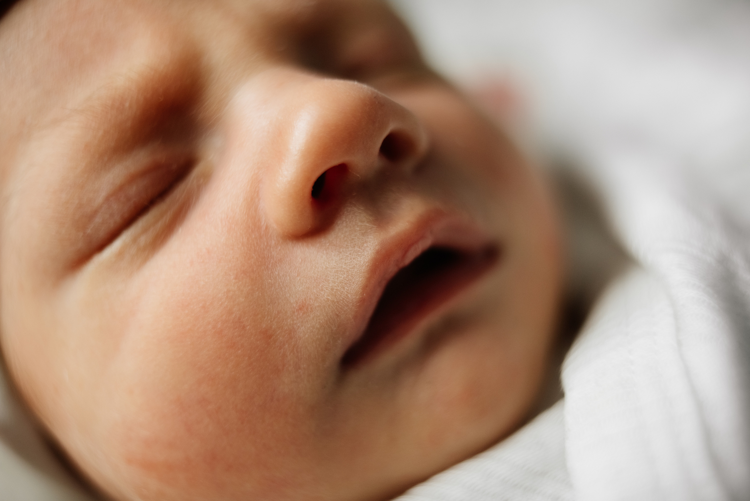 Лена Антон Алисочка и Федя. Семьи