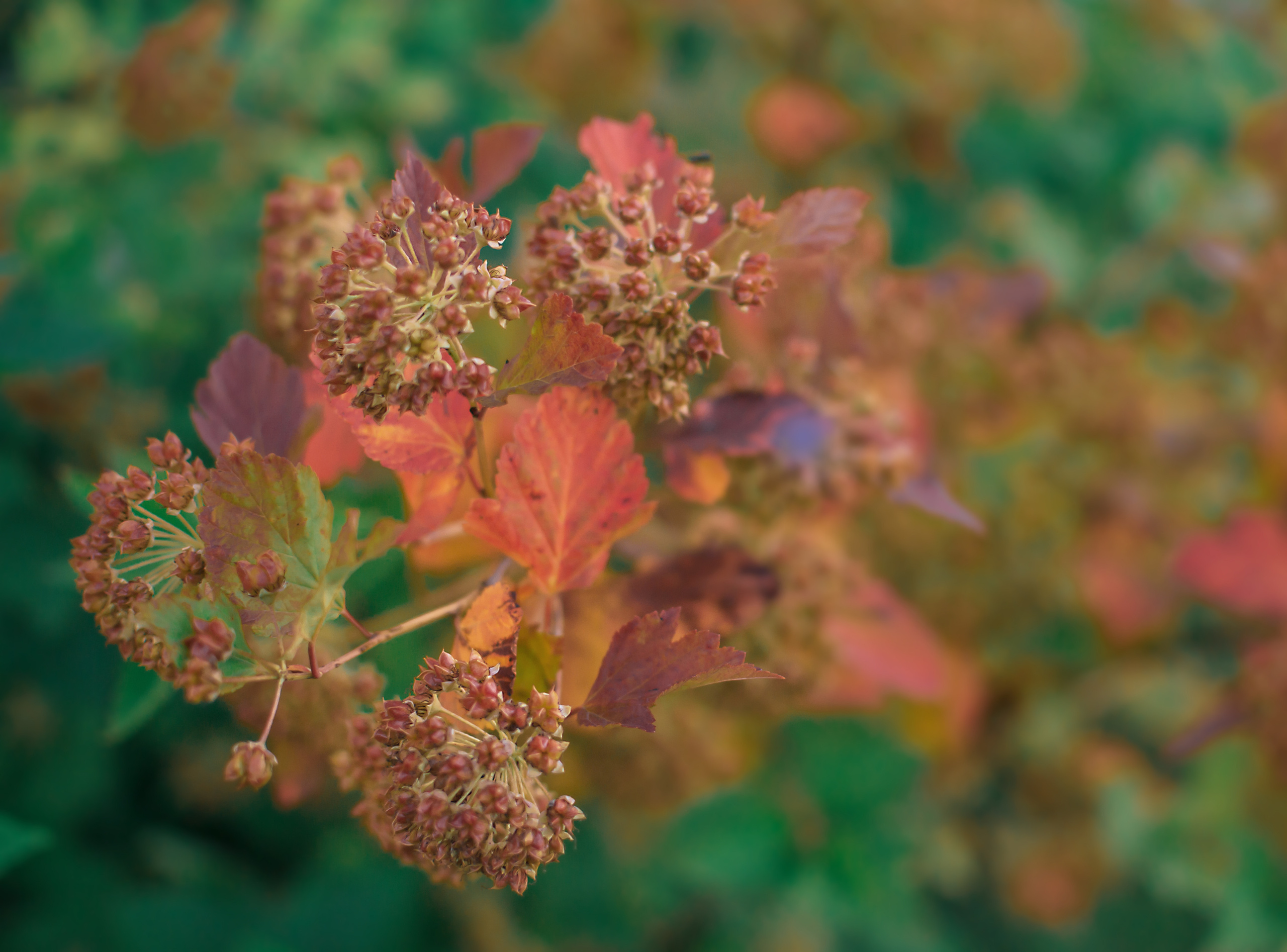 Фотосъёмка мероприятия в Зеленограде. Предметный и контентный фотограф в Москве и Зеленограде Анастасиевская