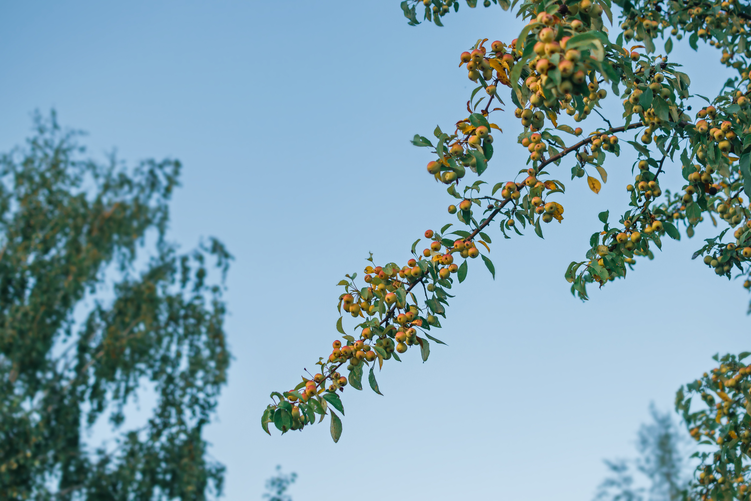 Фотосъёмка мероприятия в Зеленограде. Предметный и контентный фотограф в Москве и Зеленограде Анастасиевская