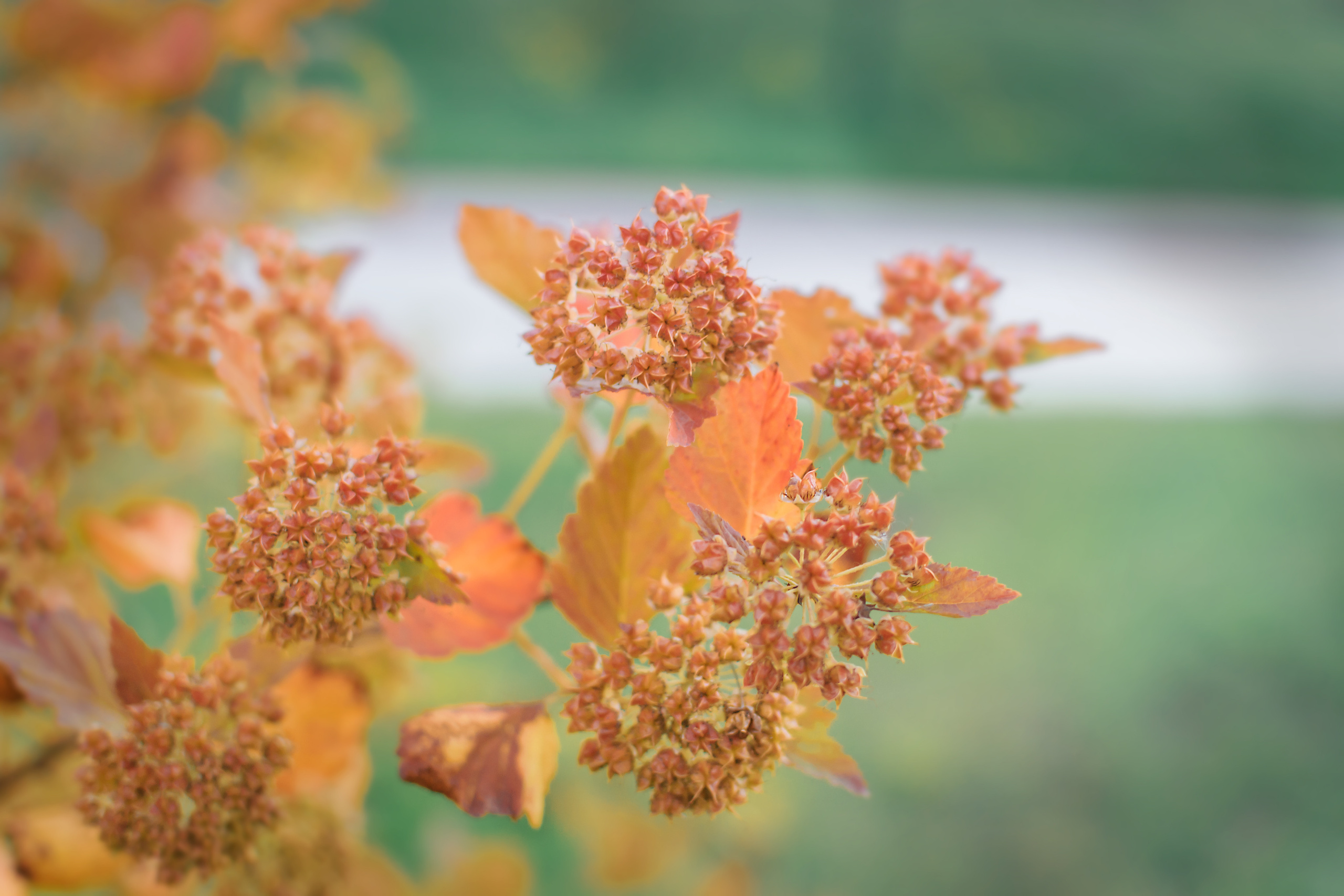 Фотосъёмка мероприятия в Зеленограде. Предметный и контентный фотограф в Москве и Зеленограде Анастасиевская