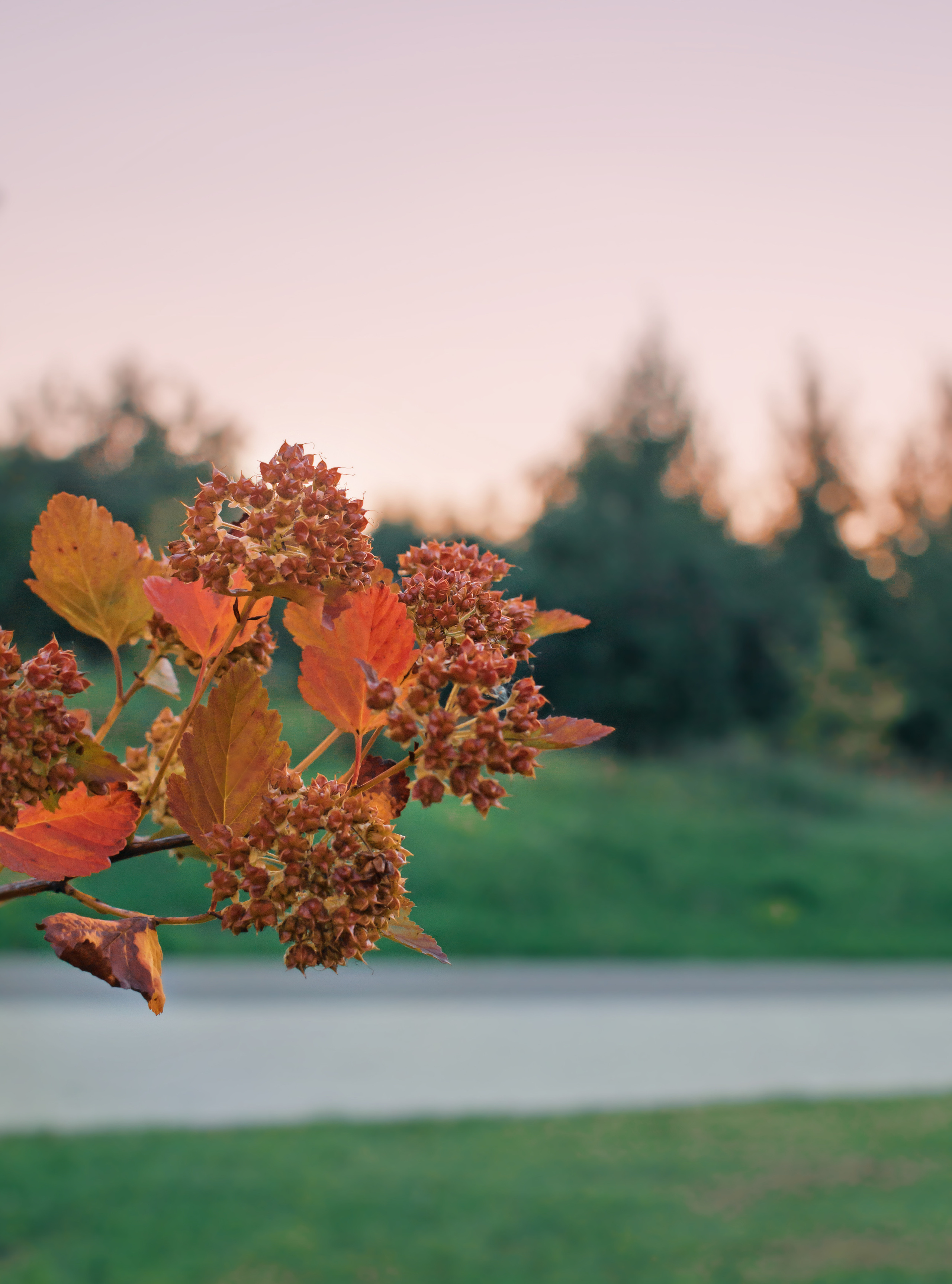 Фотосъёмка мероприятия в Зеленограде. Предметный и контентный фотограф в Москве и Зеленограде Анастасиевская
