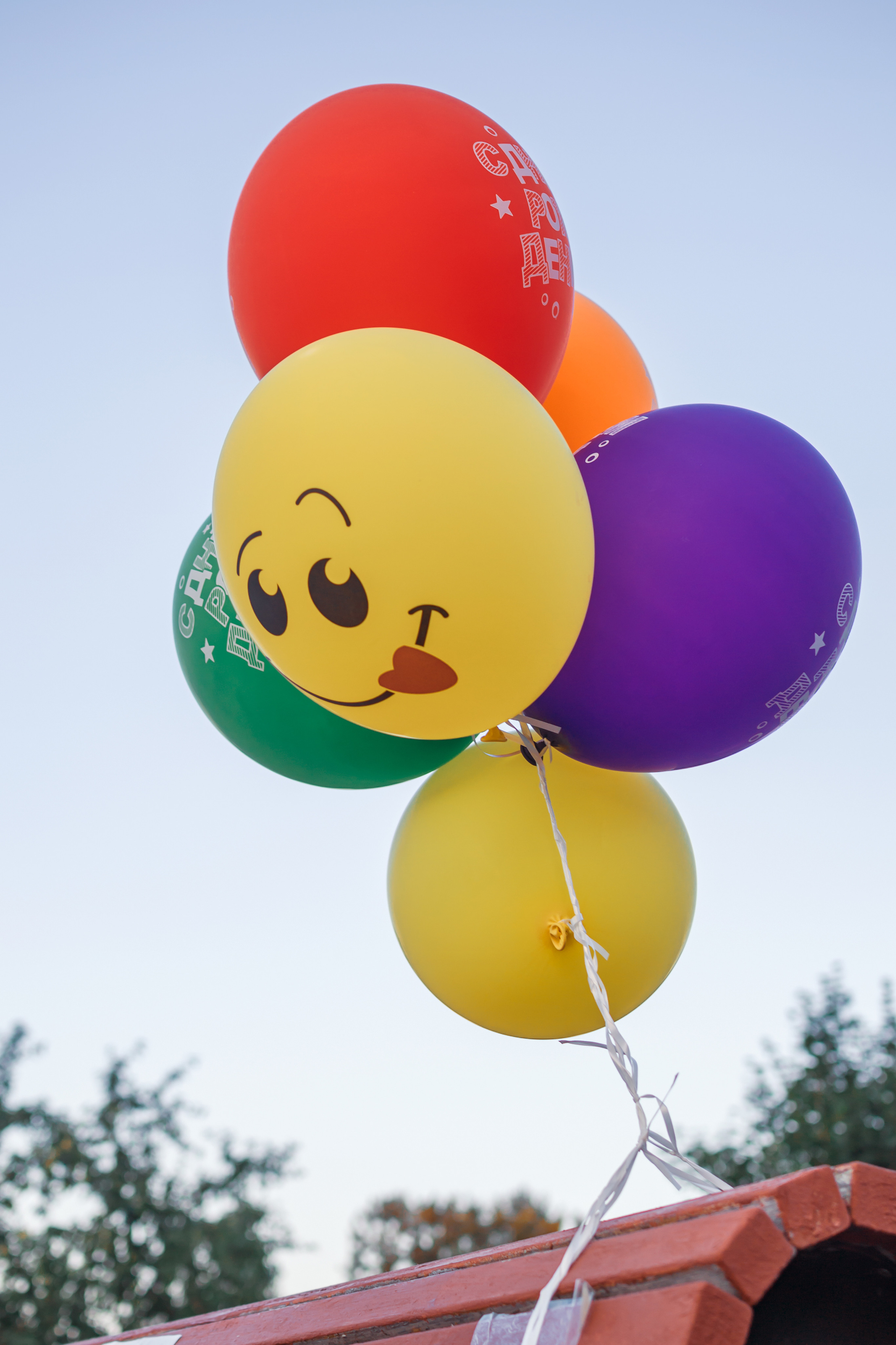 Фотосъёмка мероприятия в Зеленограде. Предметный и контентный фотограф в Москве и Зеленограде Анастасиевская