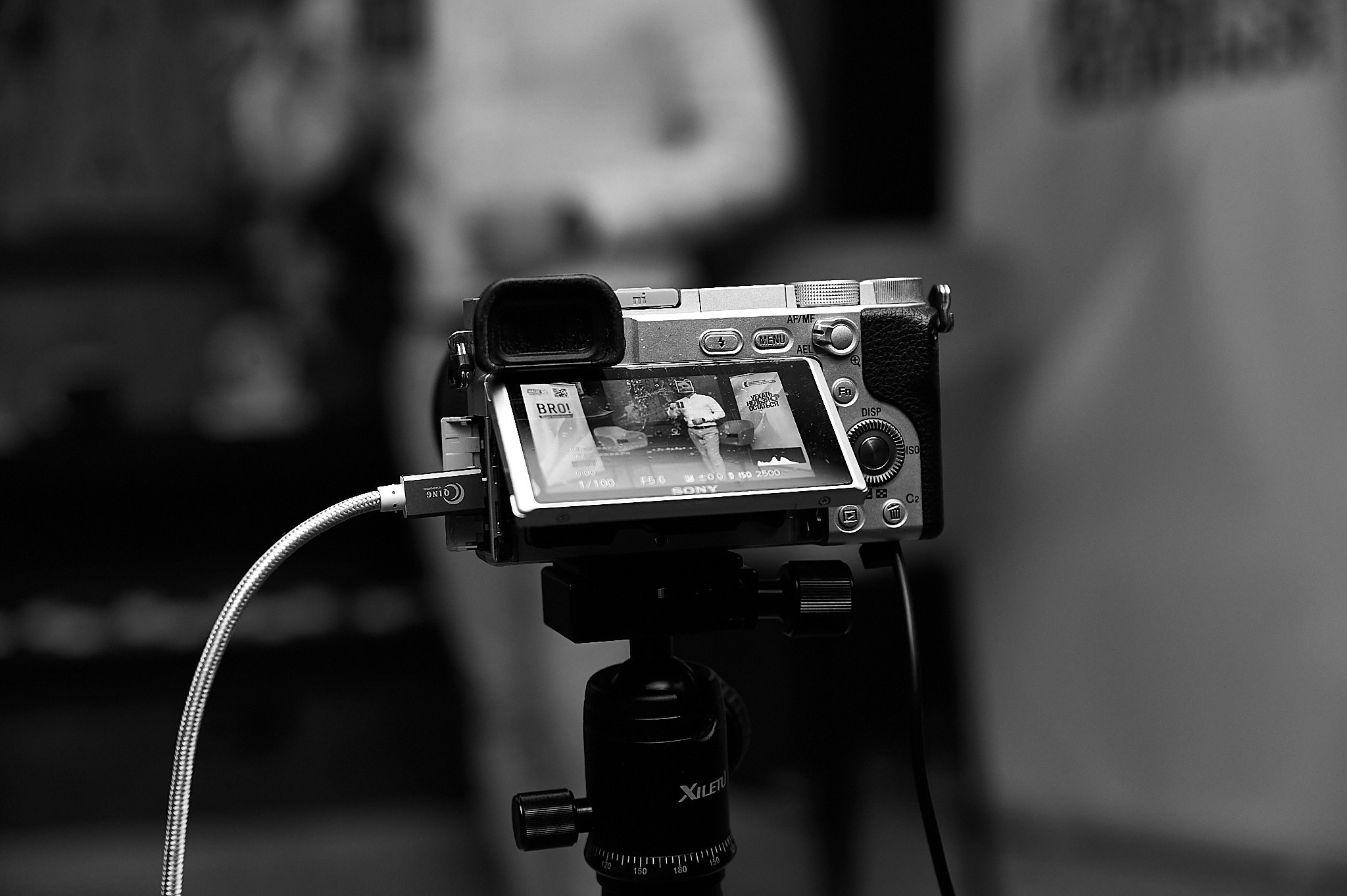 Репортаж. Женский фотограф в Череповце Даша Акулич