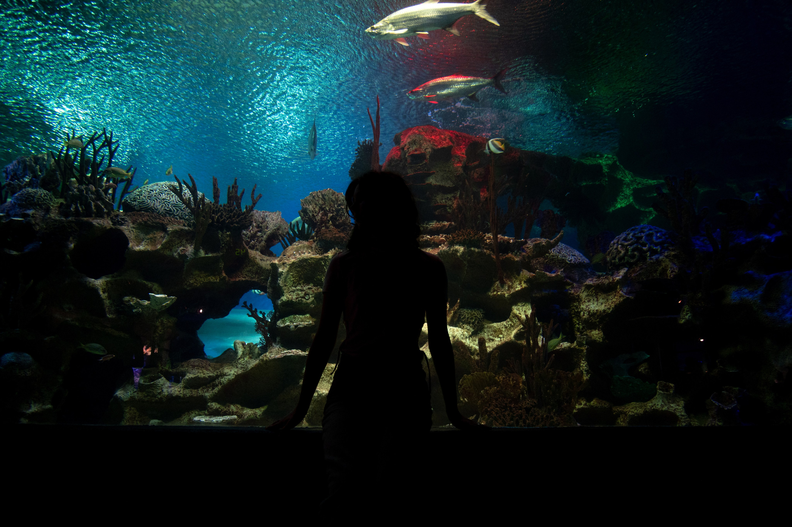 Портрет. Дмитрий Старков — фотограф