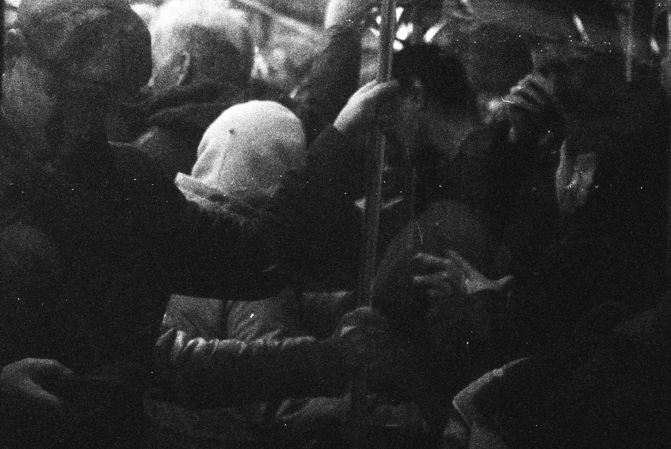 Split (35 mm film). Metelevphoto