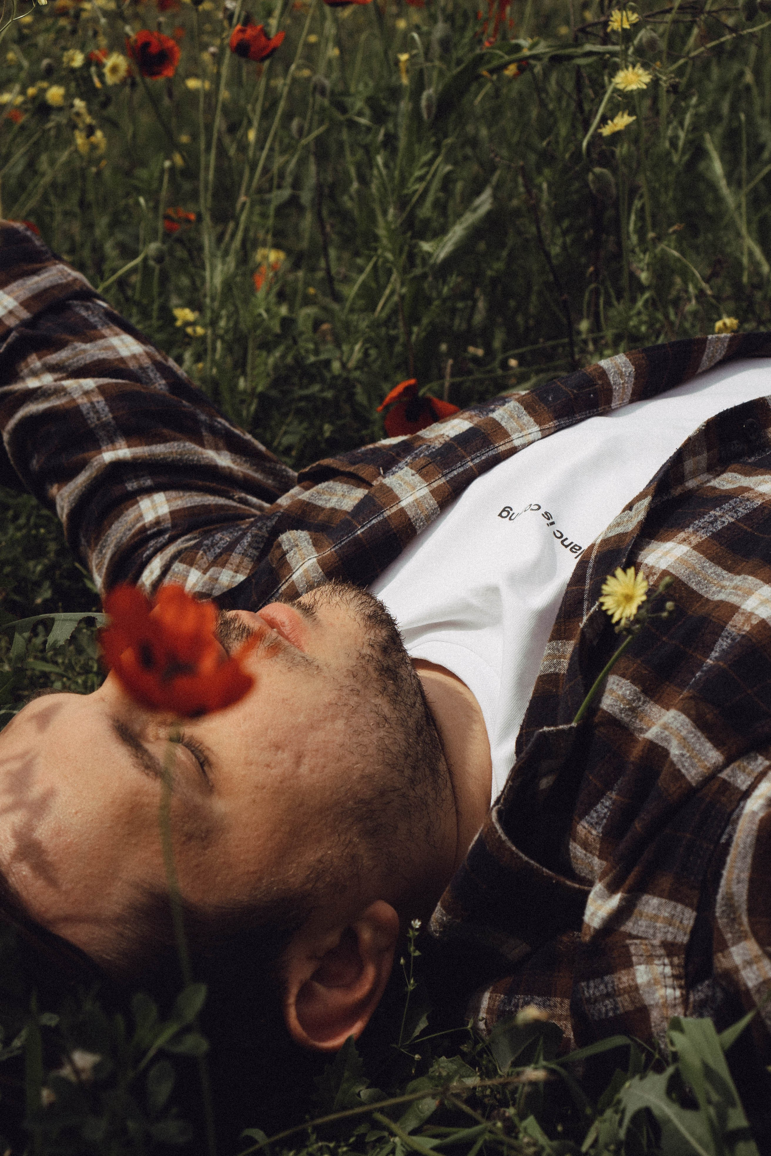 Маки. Профессиональный фотограф, Санкт-Петербург — Виктория Богомолова