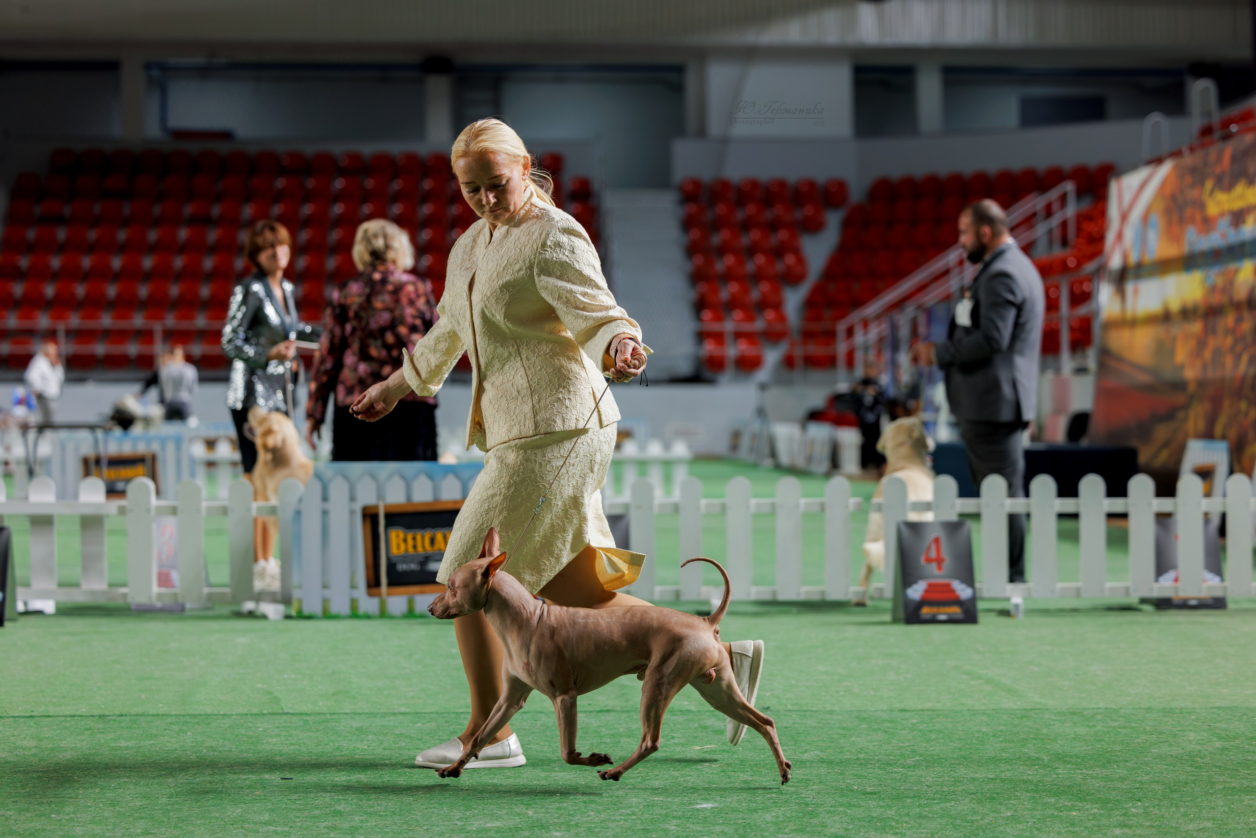 Телави 11-12.10.2025. Фотограф-анималист Юлия Германика