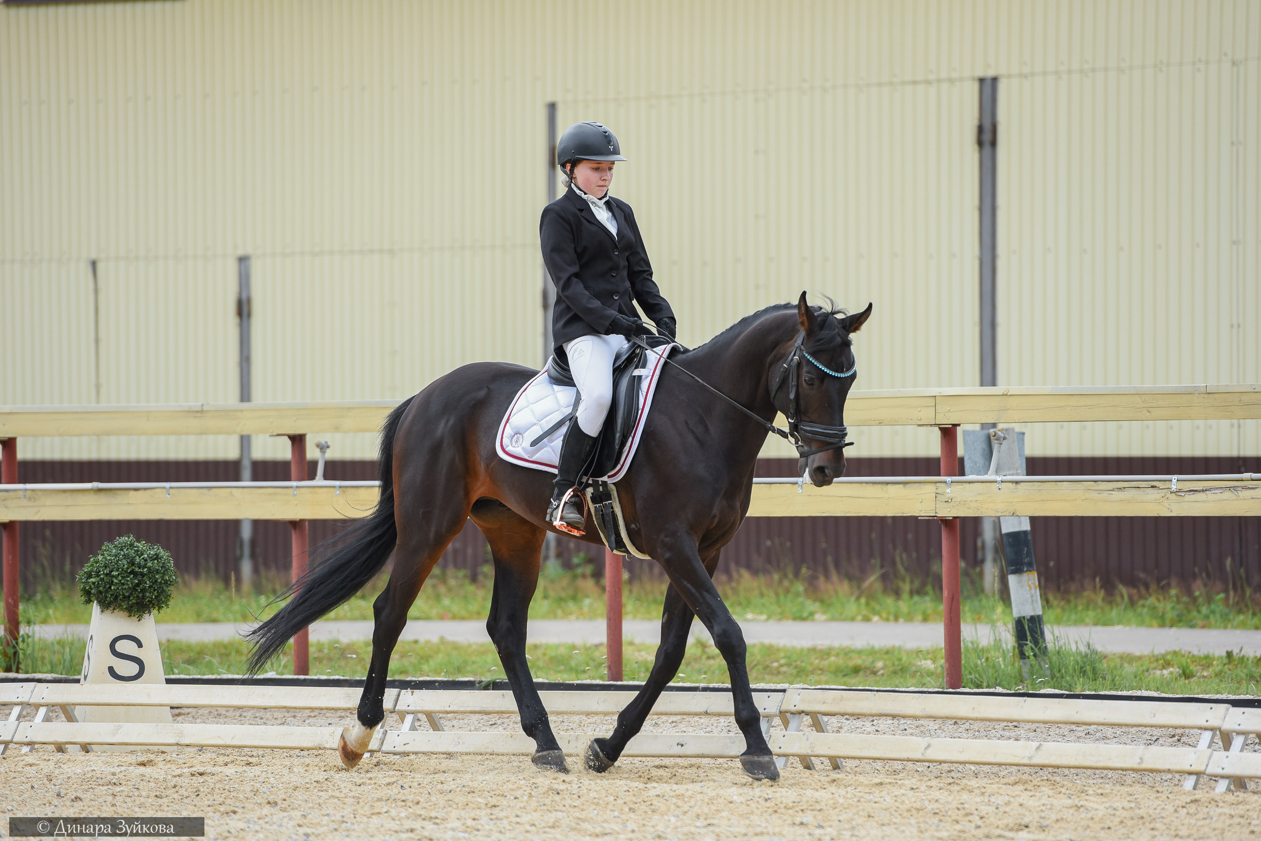 КЭК Ассамблея. Тесты, дети. Мотофотограф в Нижнем Новгороде Динара Зуйкова