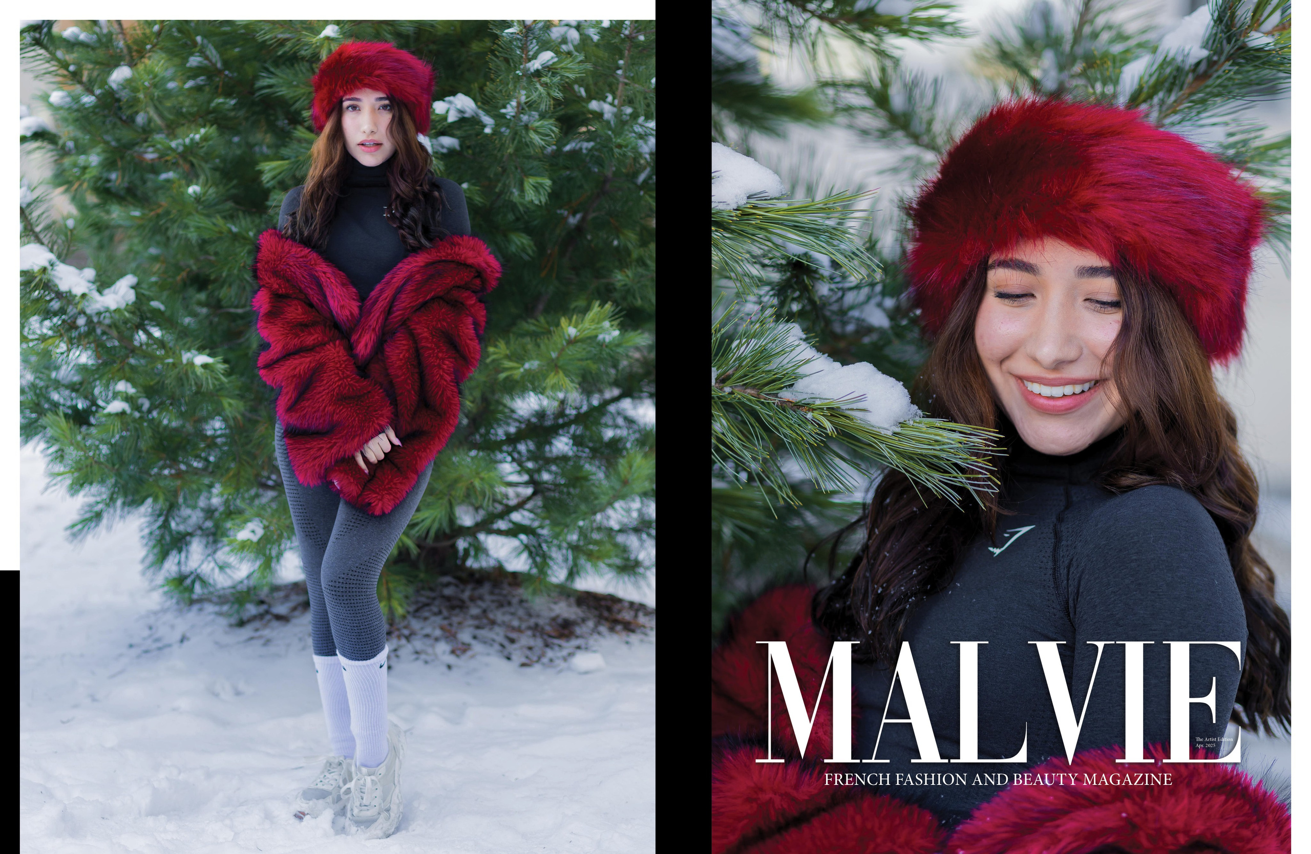 Публикация в журнале