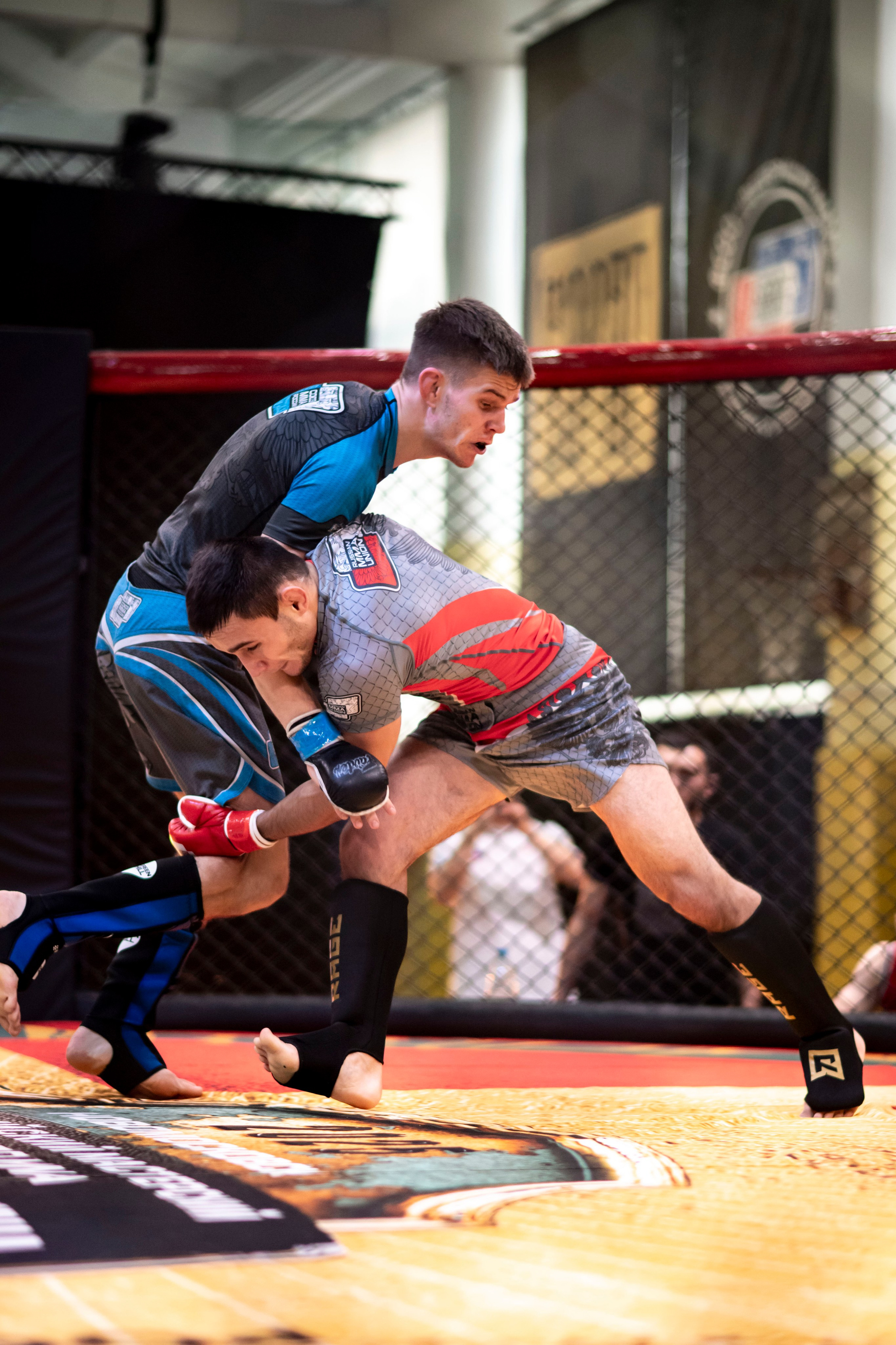 Всероссийский турнир ММА. Новомосковск, ноябрь 2025. Спортивный фотограф в Туле и Тульской области. Файсханова Фото Спорт