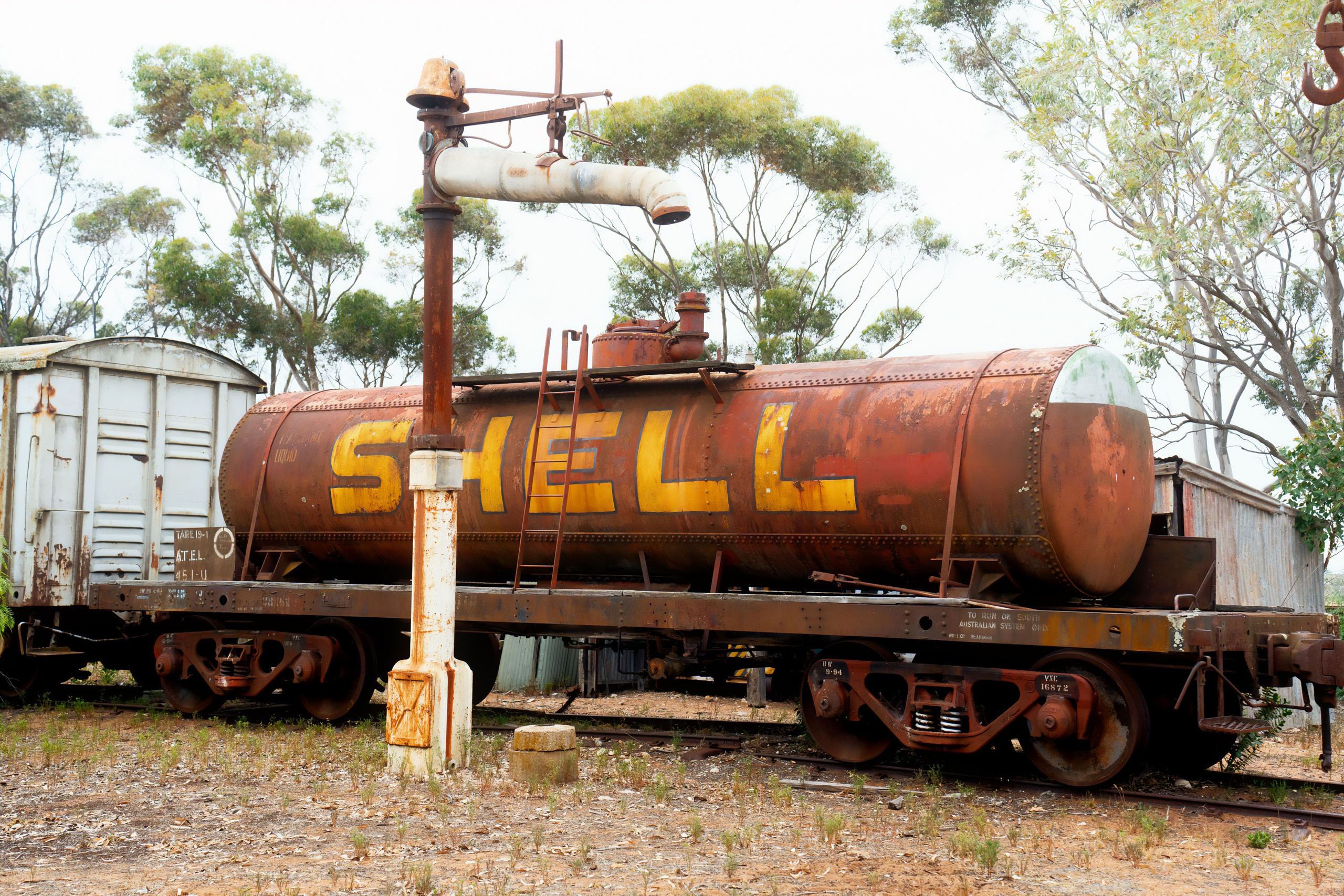 Австралия. Фотограф в Хабаровске. Фотография за 24 часа