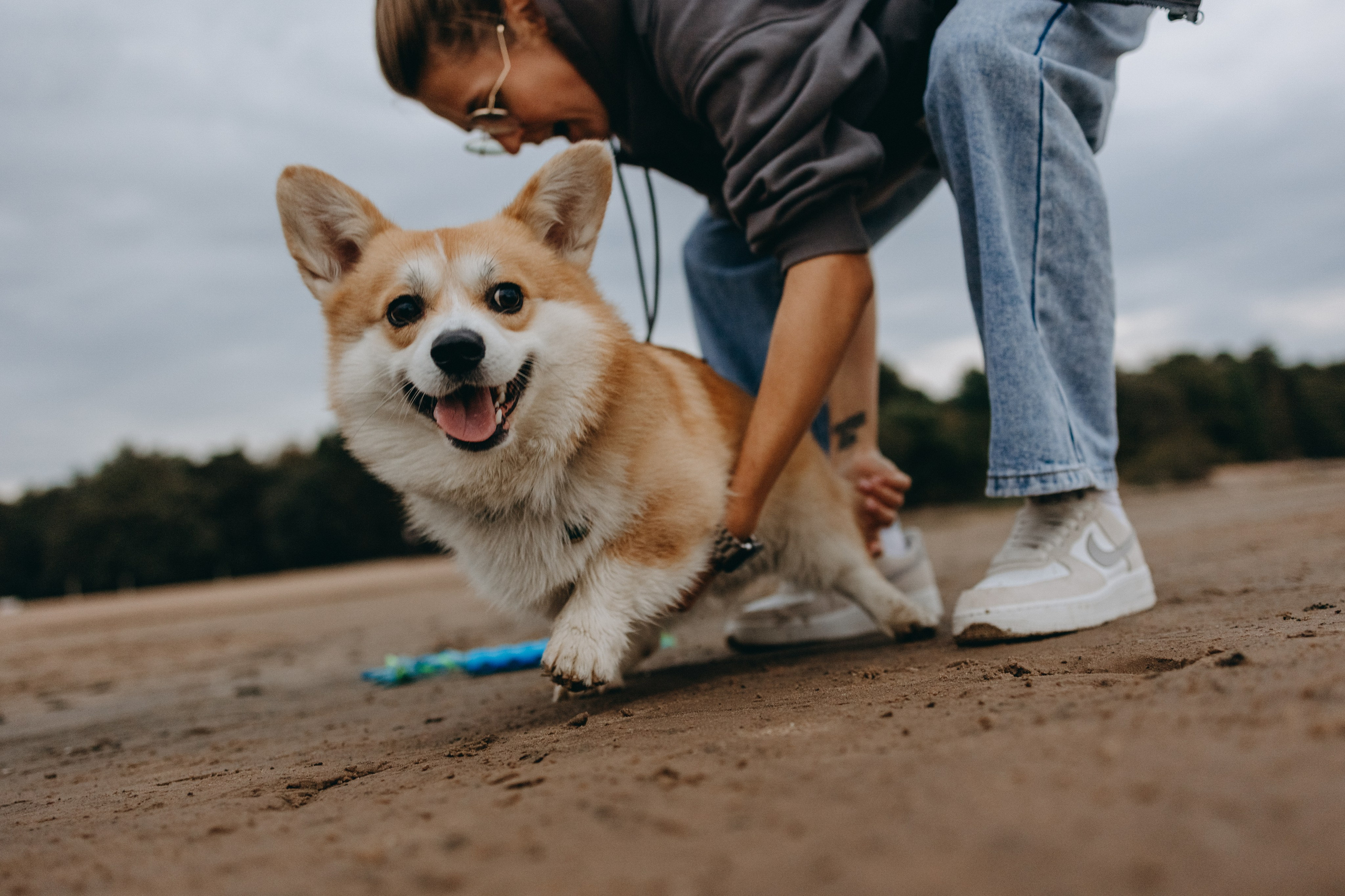 Лиза и Бакс. Фотограф — Анималист | Санкт-Петербург