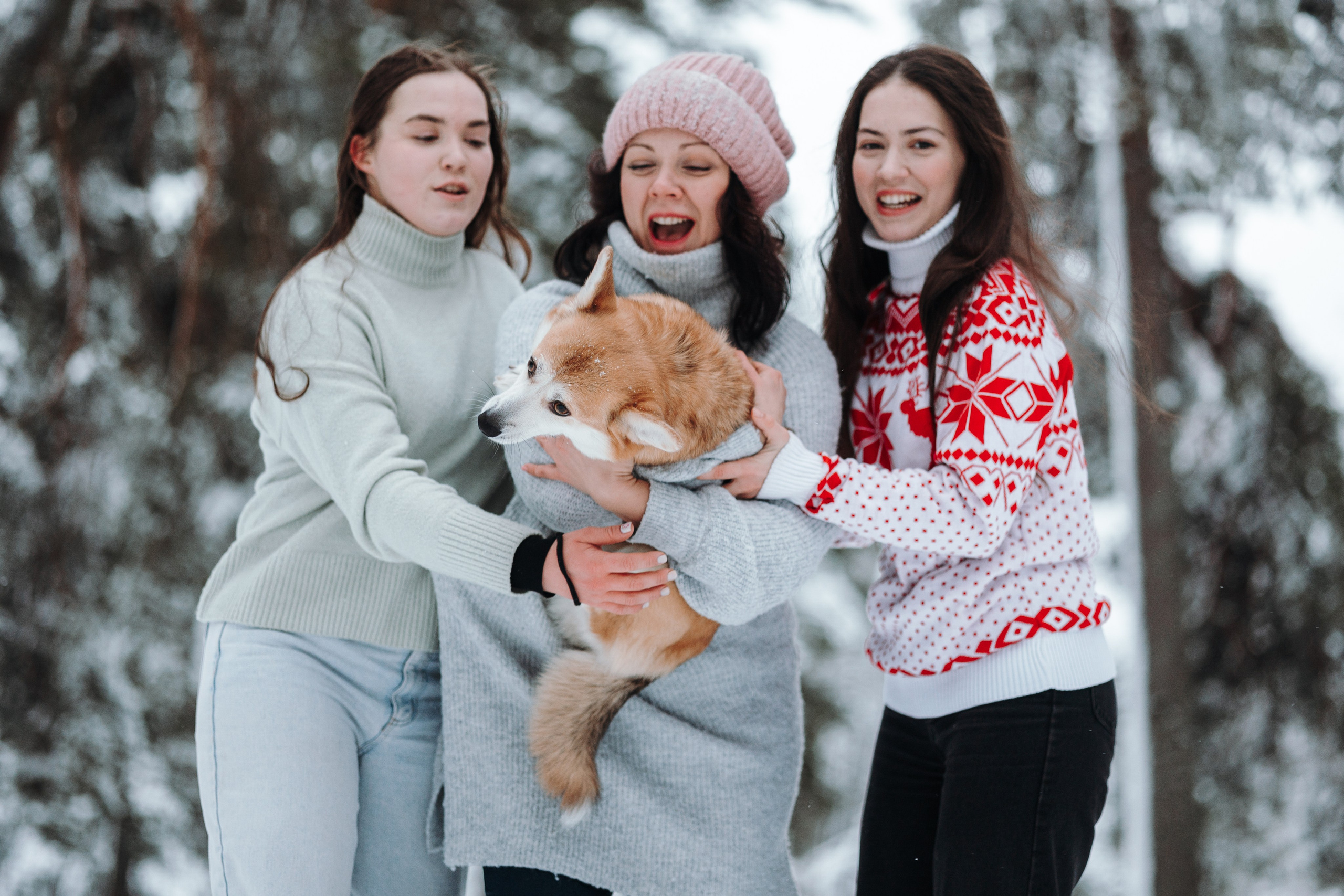 Оливка и ее семья. Фотограф — Анималист | Санкт-Петербург