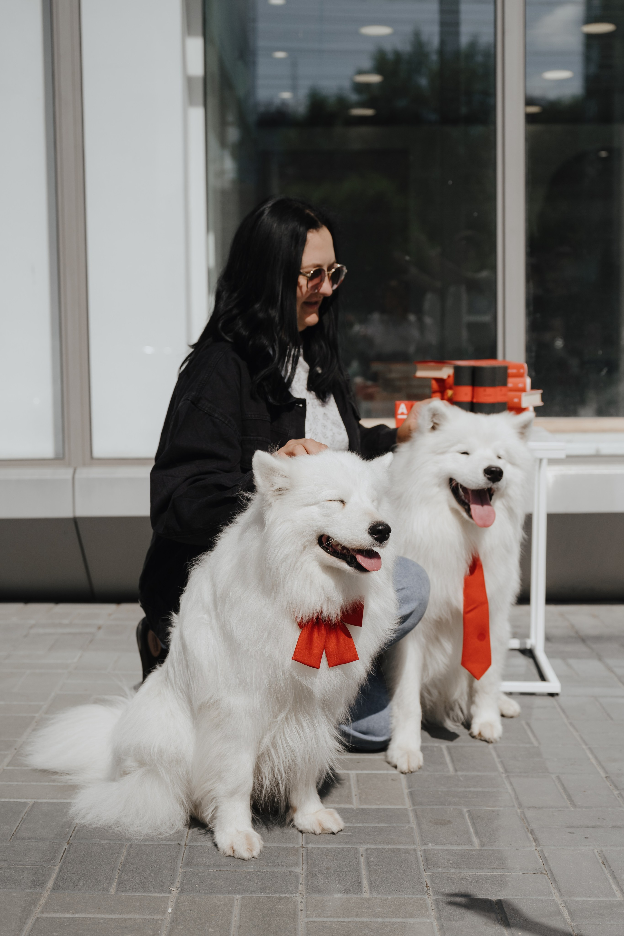 Альфа банк Карла Маркса 55. Фотограф Кристина Тумаева. Самоед Новосибирск