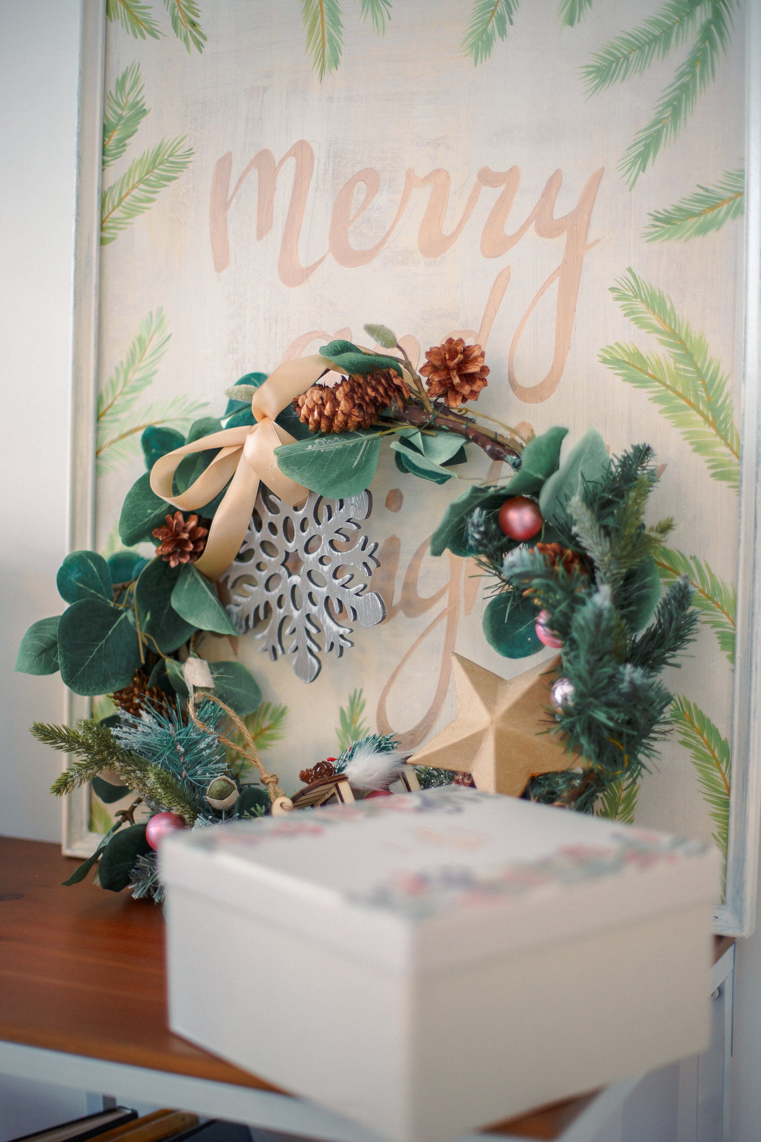 Новогодняя фотосессия Марии. Свадебный и семейный фотограф Рязань. Дмитрий Волков