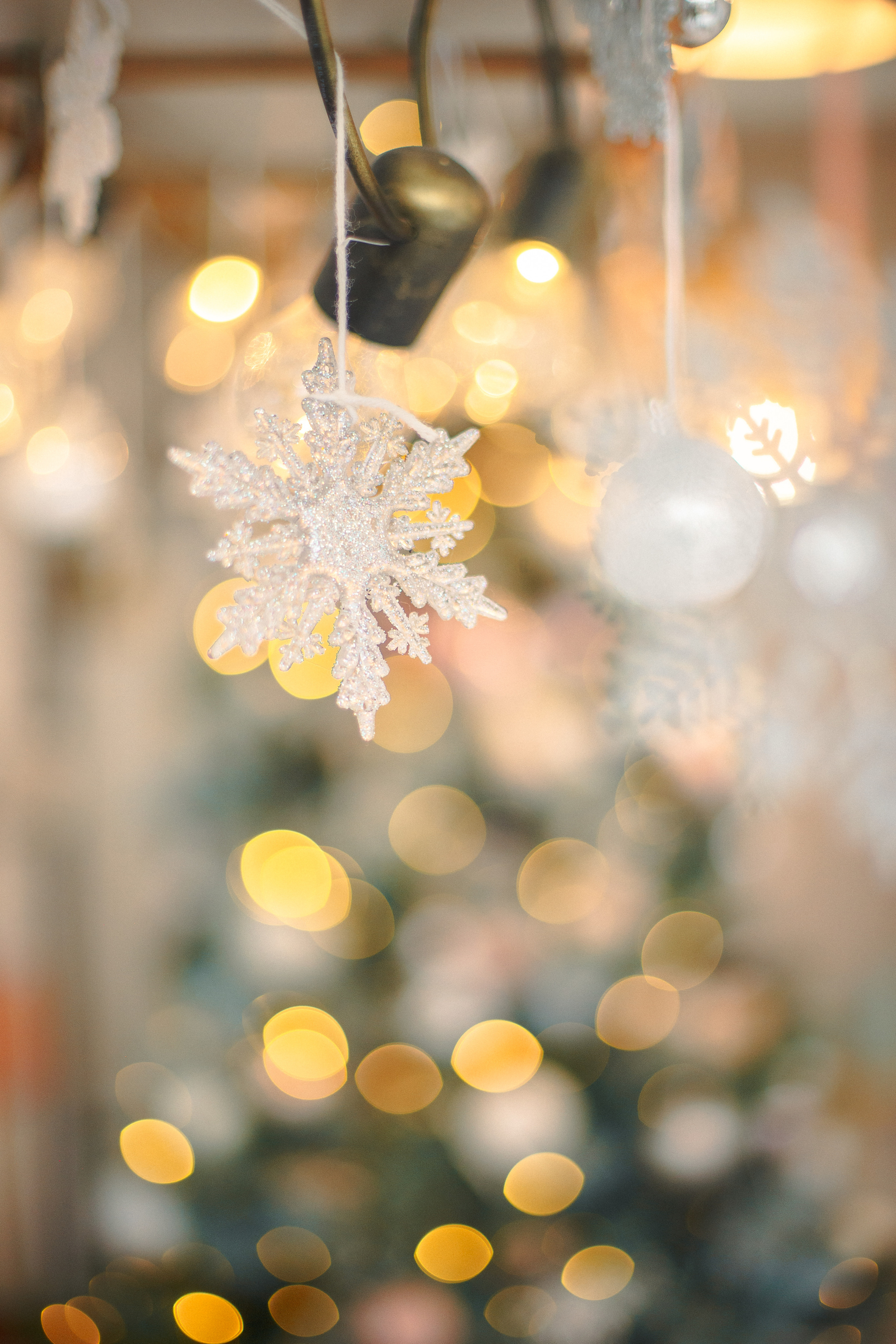 Новогодняя фотосессия Марии. Свадебный и семейный фотограф Рязань. Дмитрий Волков