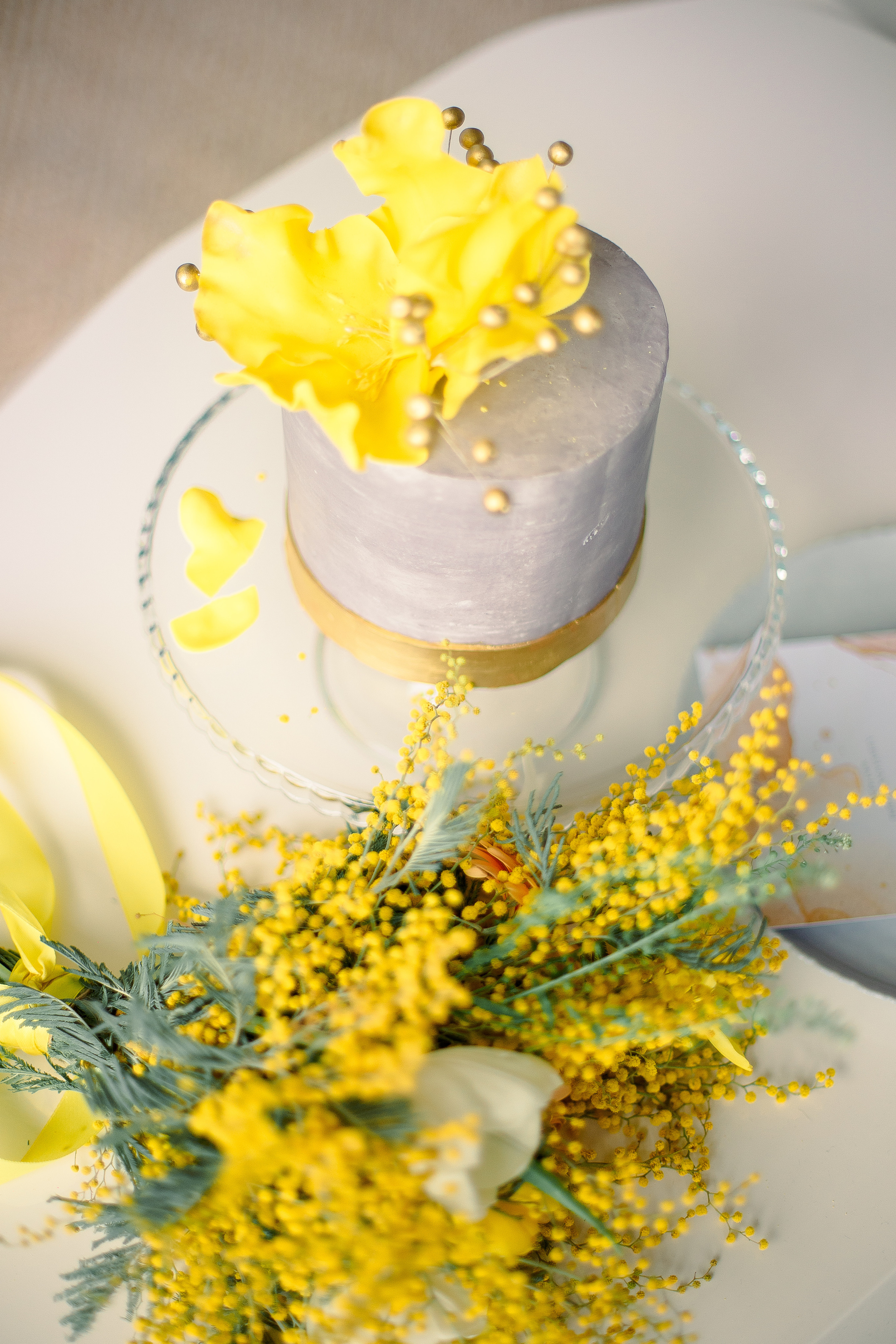 Свадебная фотосессия Татьяны и Дениса. Свадебный и семейный фотограф Рязань. Дмитрий Волков