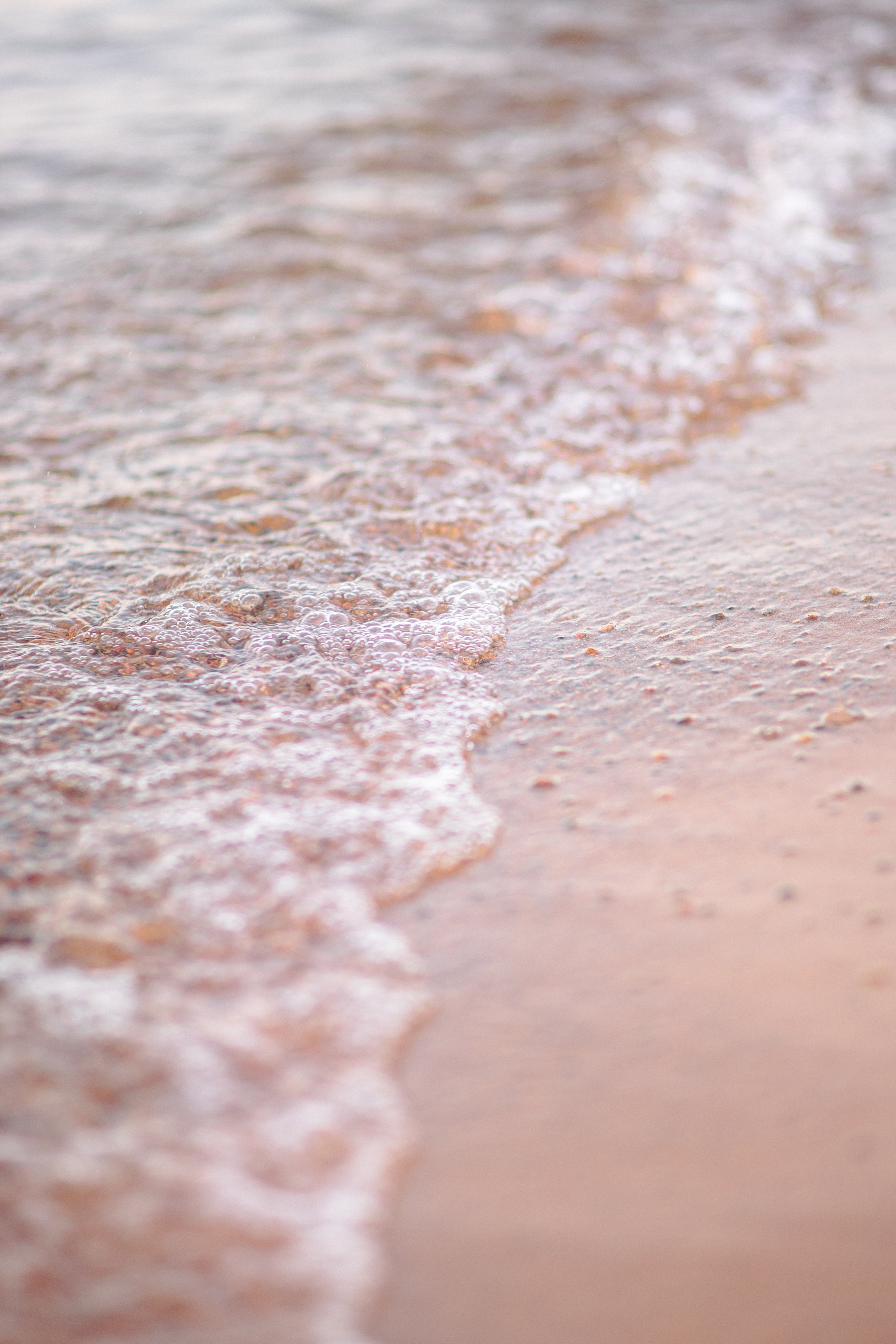 Lovestory фотосессия Анны и Игоря. Свадебный и семейный фотограф Рязань. Дмитрий Волков