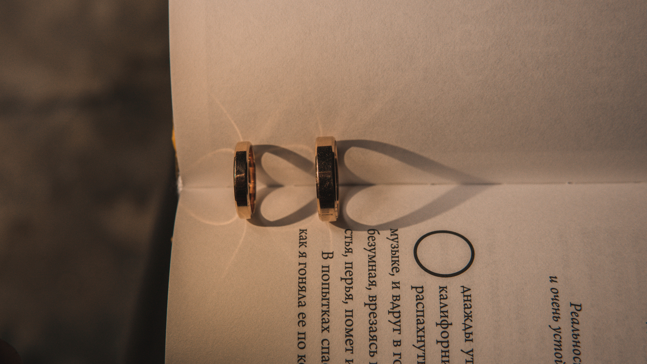 Даша и Илья