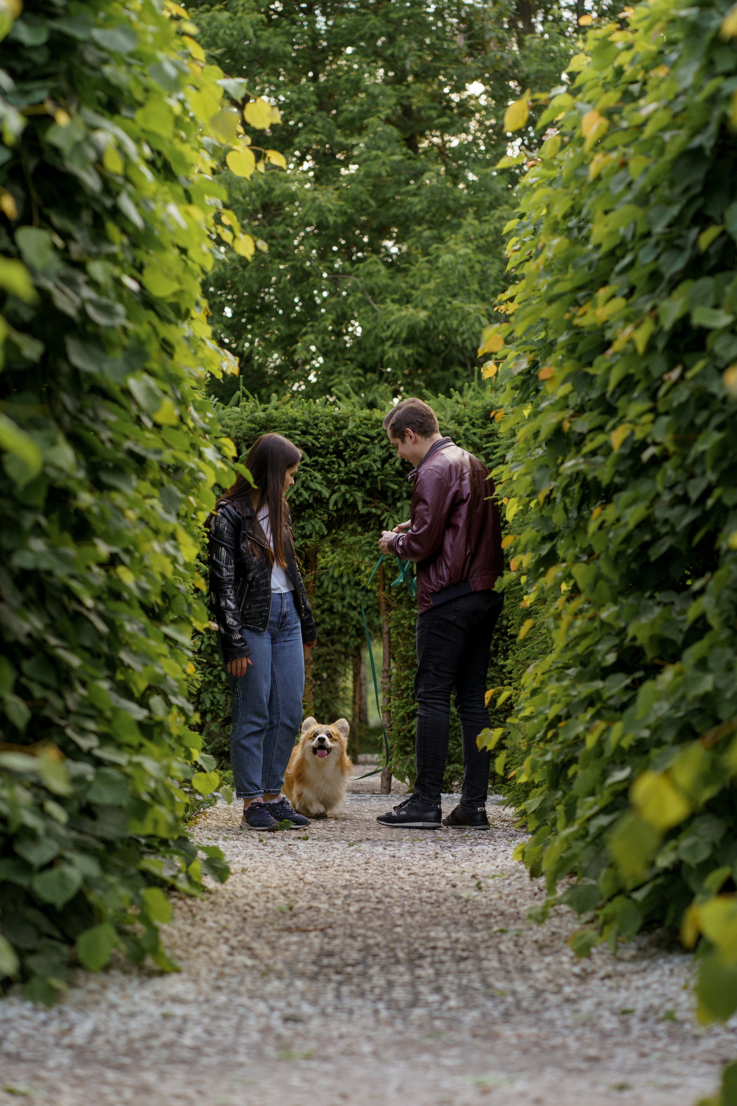 Катя, Арсений и Пух. Свадебный фотограф в Москве Анна Полушина