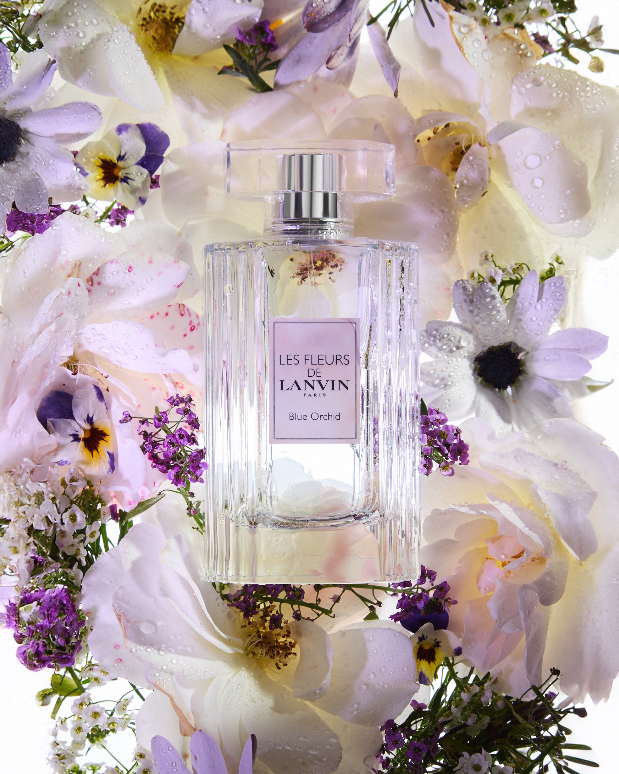 Lanvin. Главная