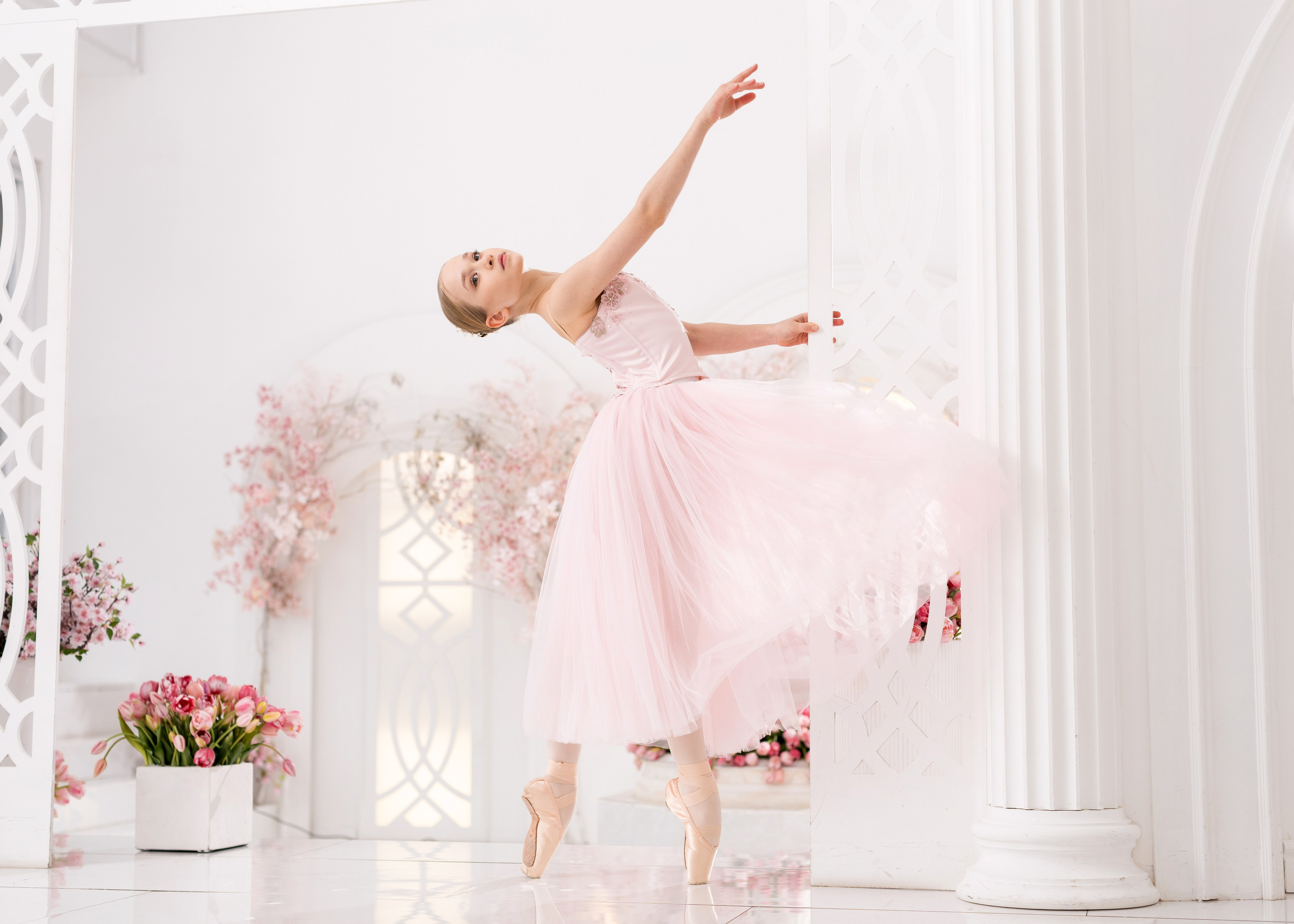 Балетное платье розовое «Сакура» напрокат бесплатно. Балетный фотограф Алина Ханько — Душа Балета