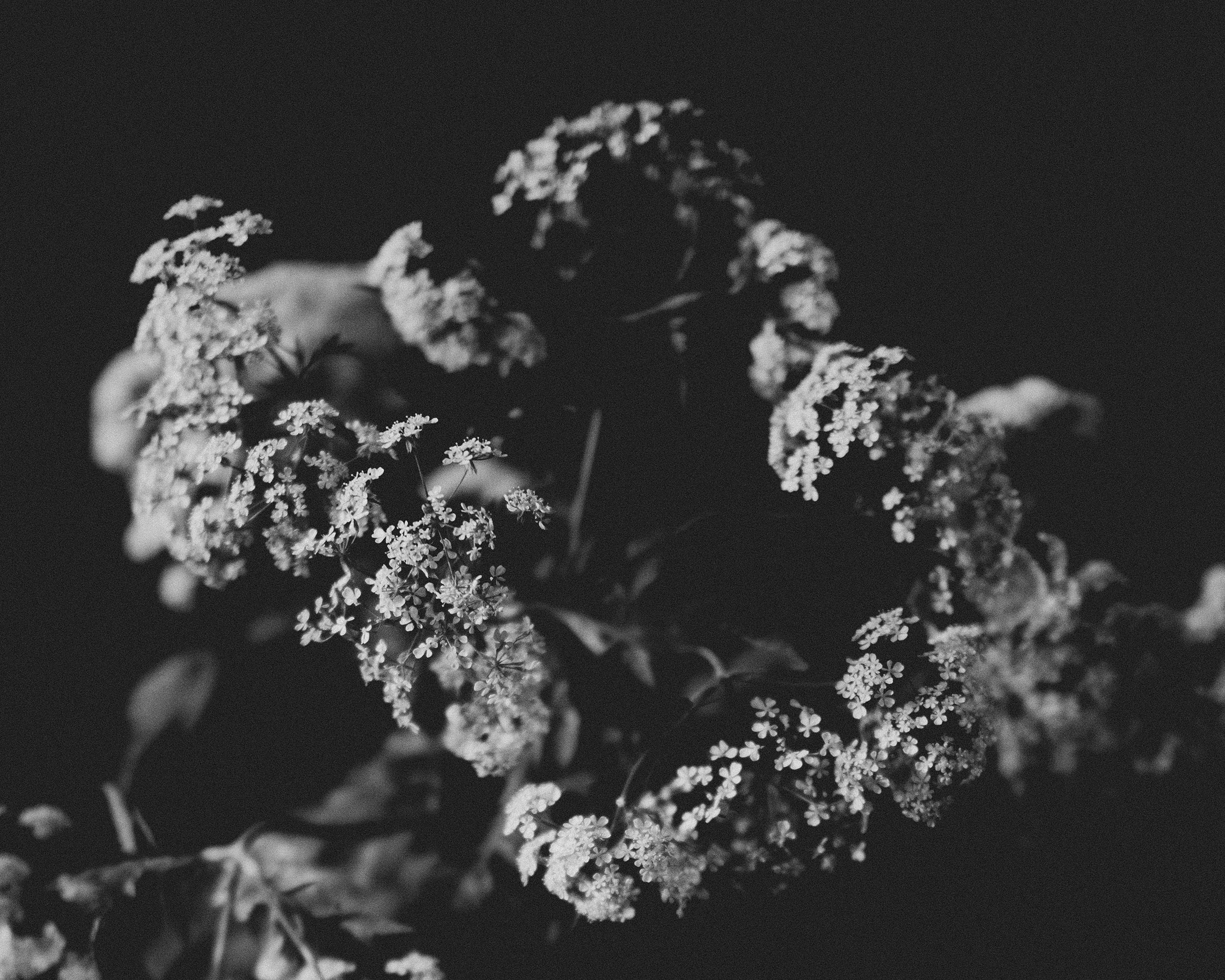 В лесу. Фотограф Владимир Орлов