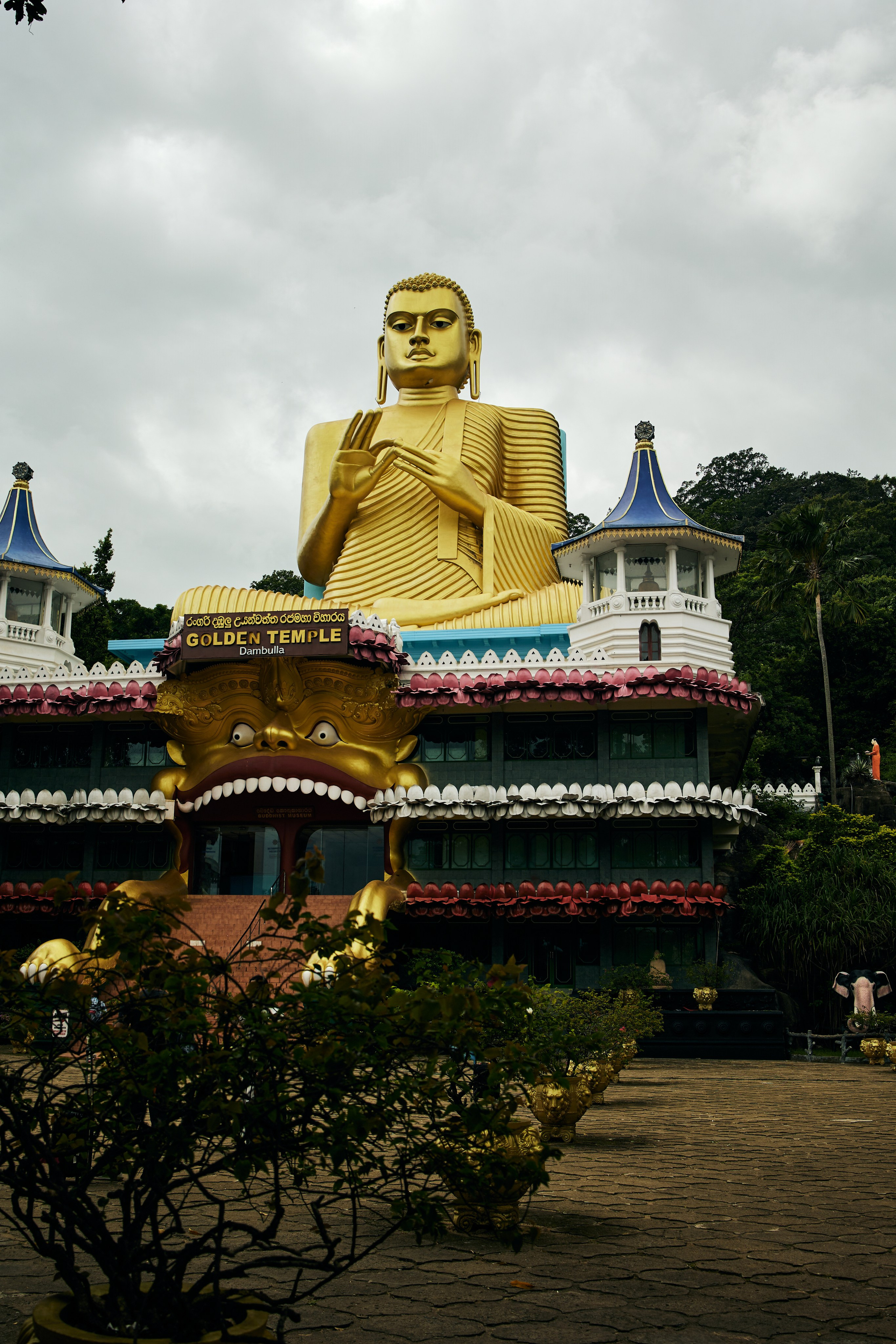 Шри-Ланка. Хороший репортажный и промышленный фотограф в Казани Алексей Щелконогов