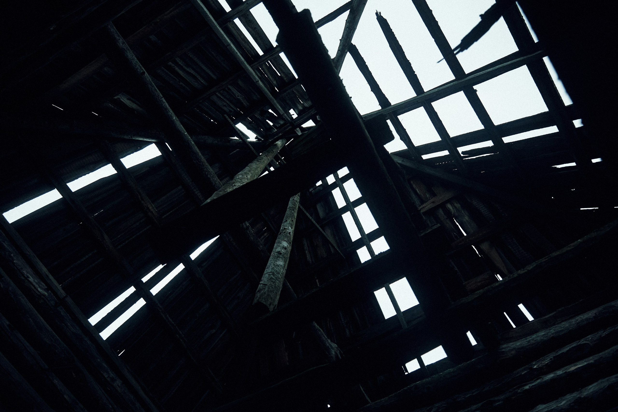 Konstantin & Daria. Event агентство PAPRIKA в Екатеринбурге