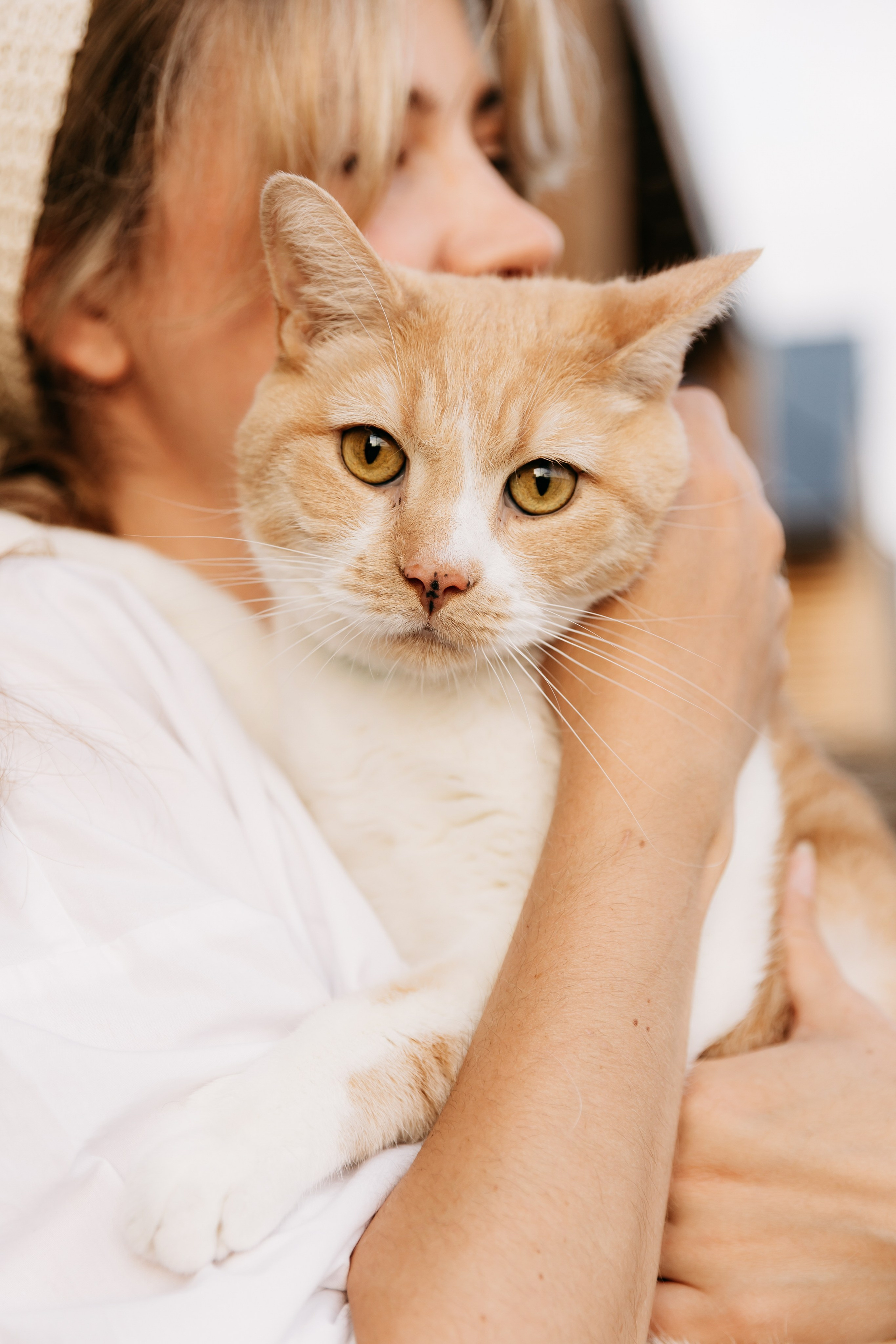 Тихоновы. Главная