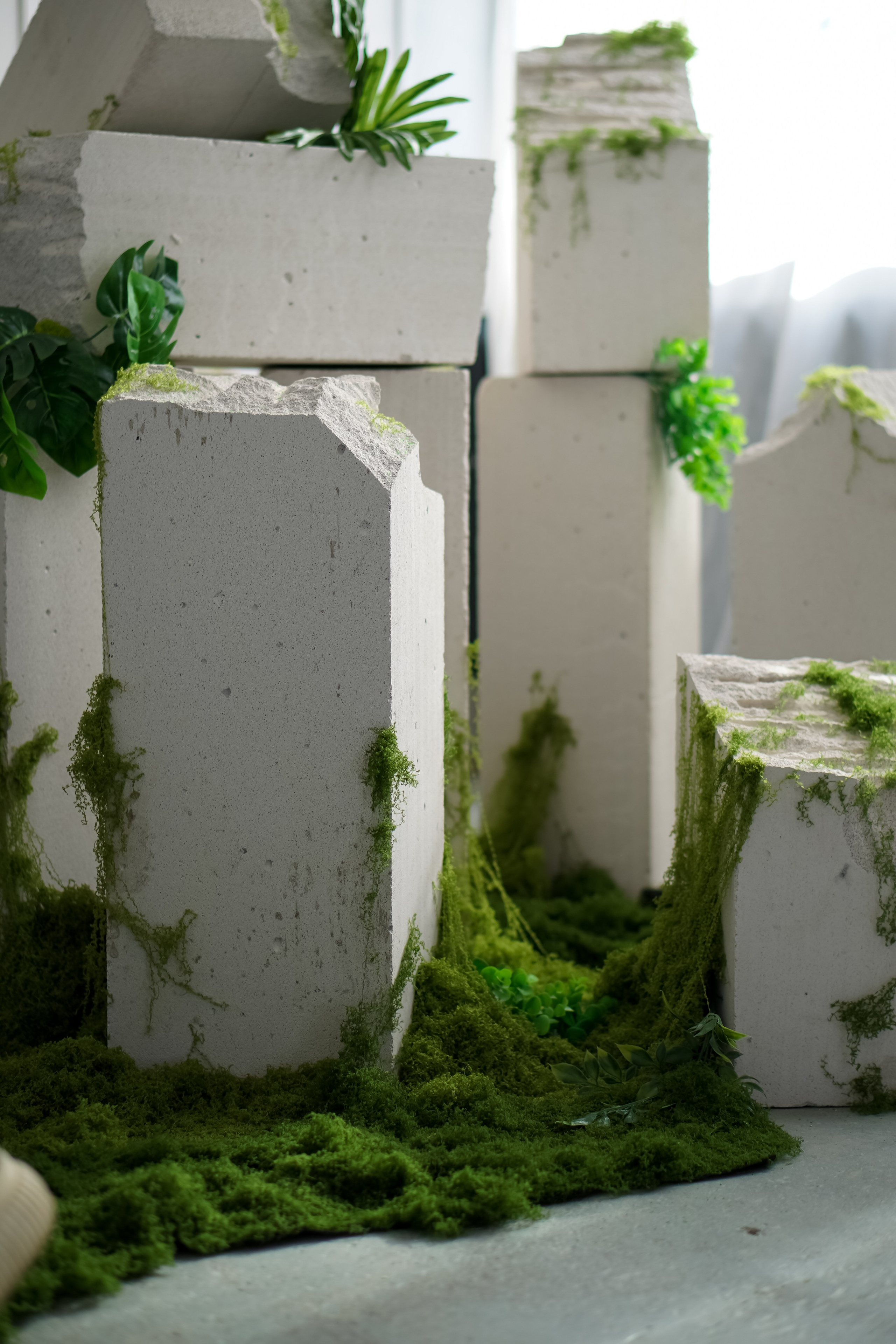 Зал Life фотостудия Импульс. Фотостудия в Саратове. Фотограф в Саратове