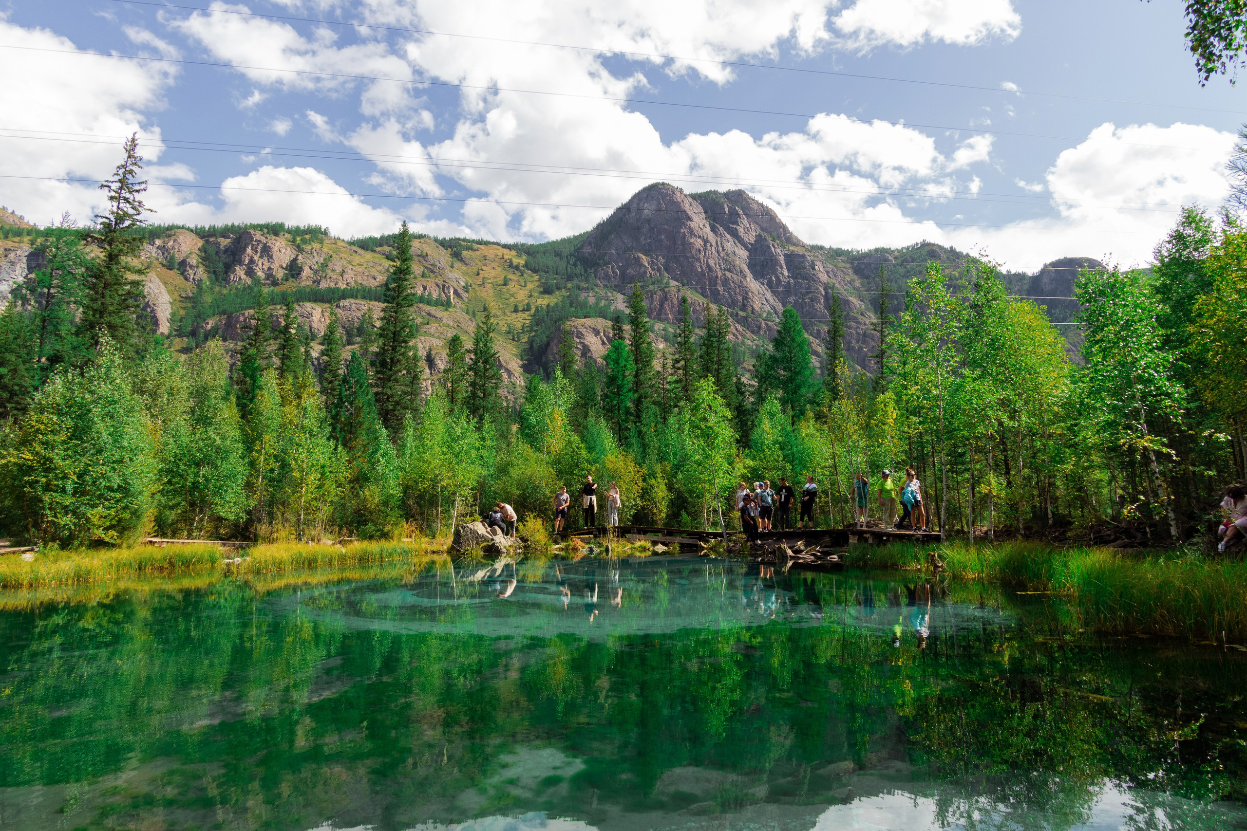 АЛТАЙ 2024 / ALTAI 2024. Главная